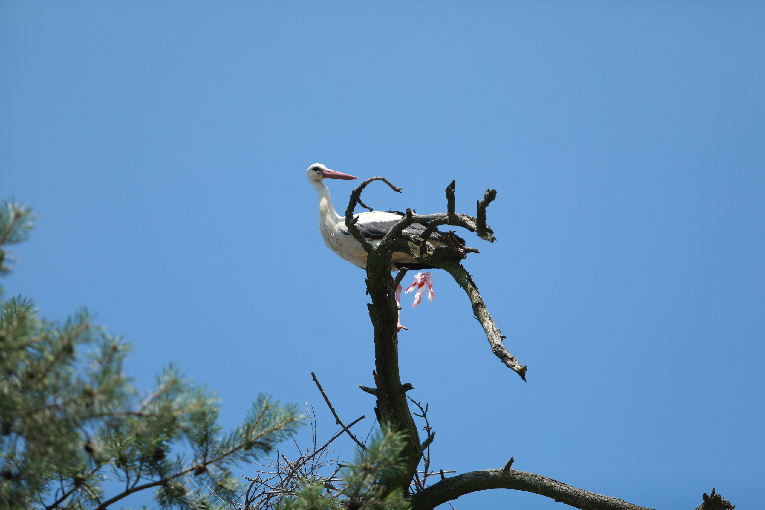 Про жизнь. Фотограф Сергей Ловкий