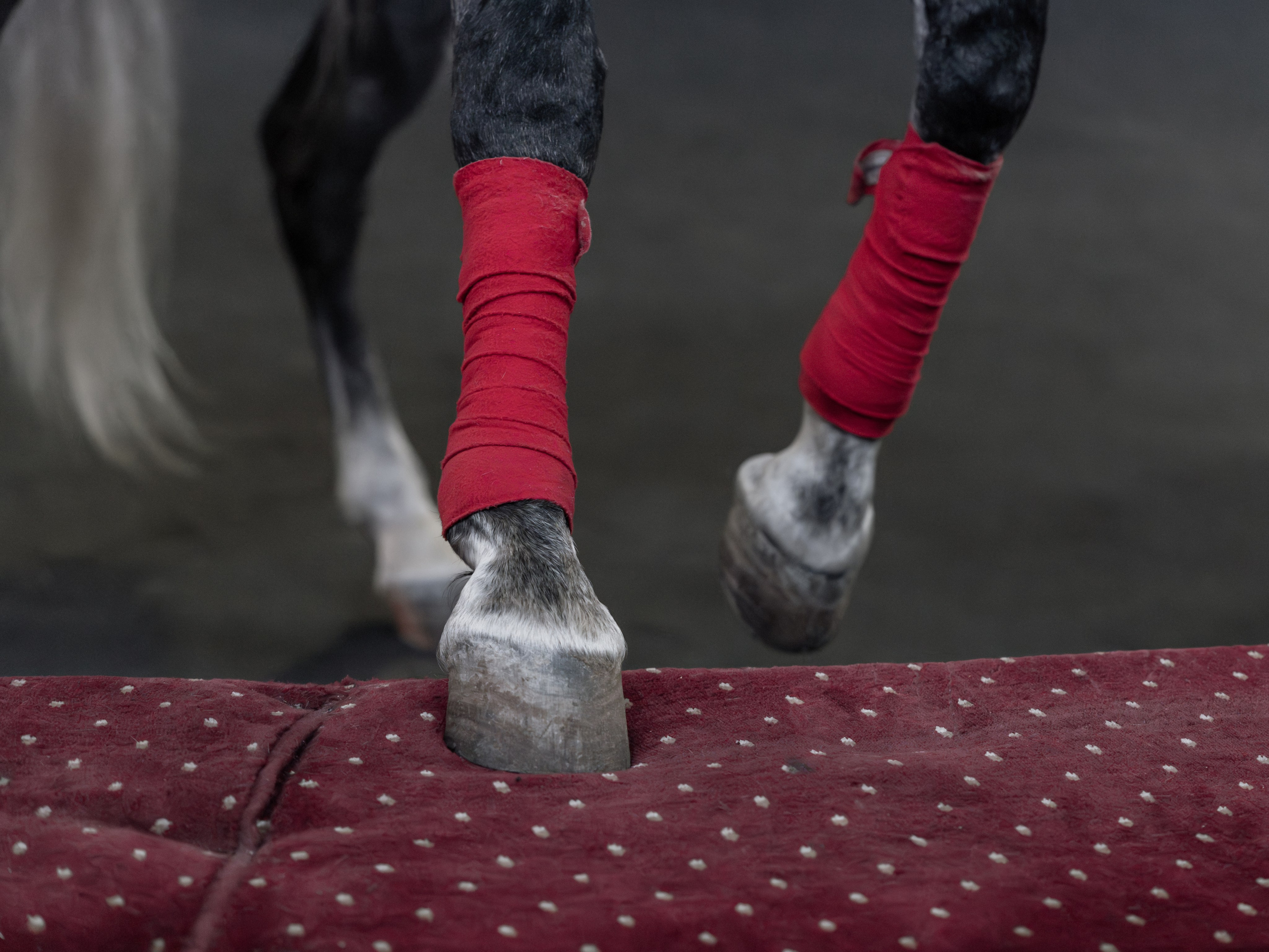 Конный театр «Нарты». Репортажный фотограф в Красной Поляне и Сочи Павлюченко Екатерина