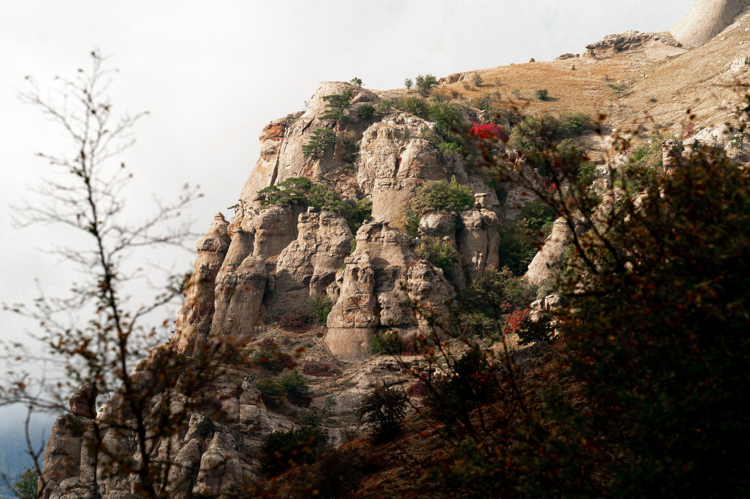 Путешествия и пейзаж. Репортажный фотограф в Красной Поляне и Сочи Павлюченко Екатерина