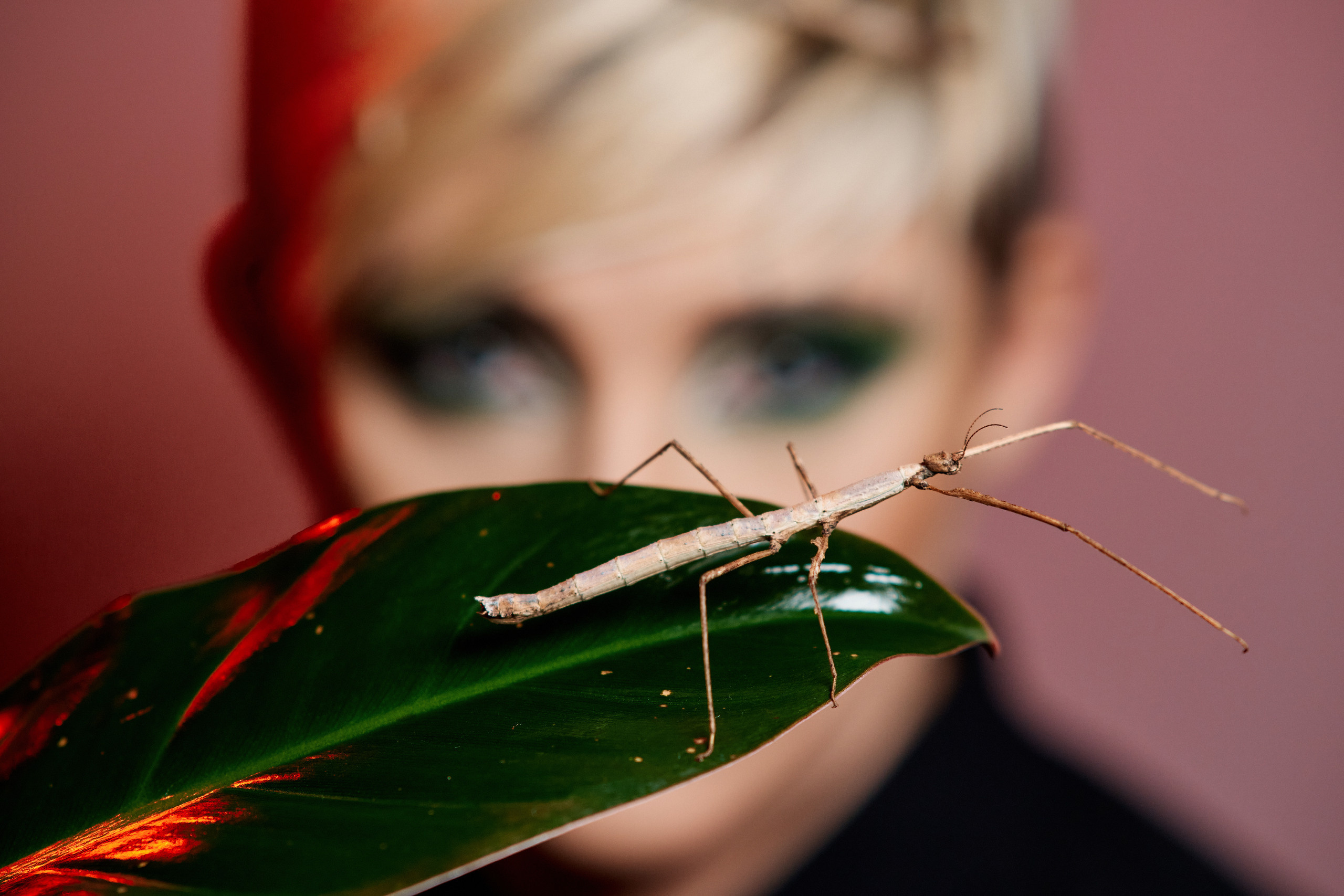 Отзывы. Фотограф Таганрог Анна Трайжон