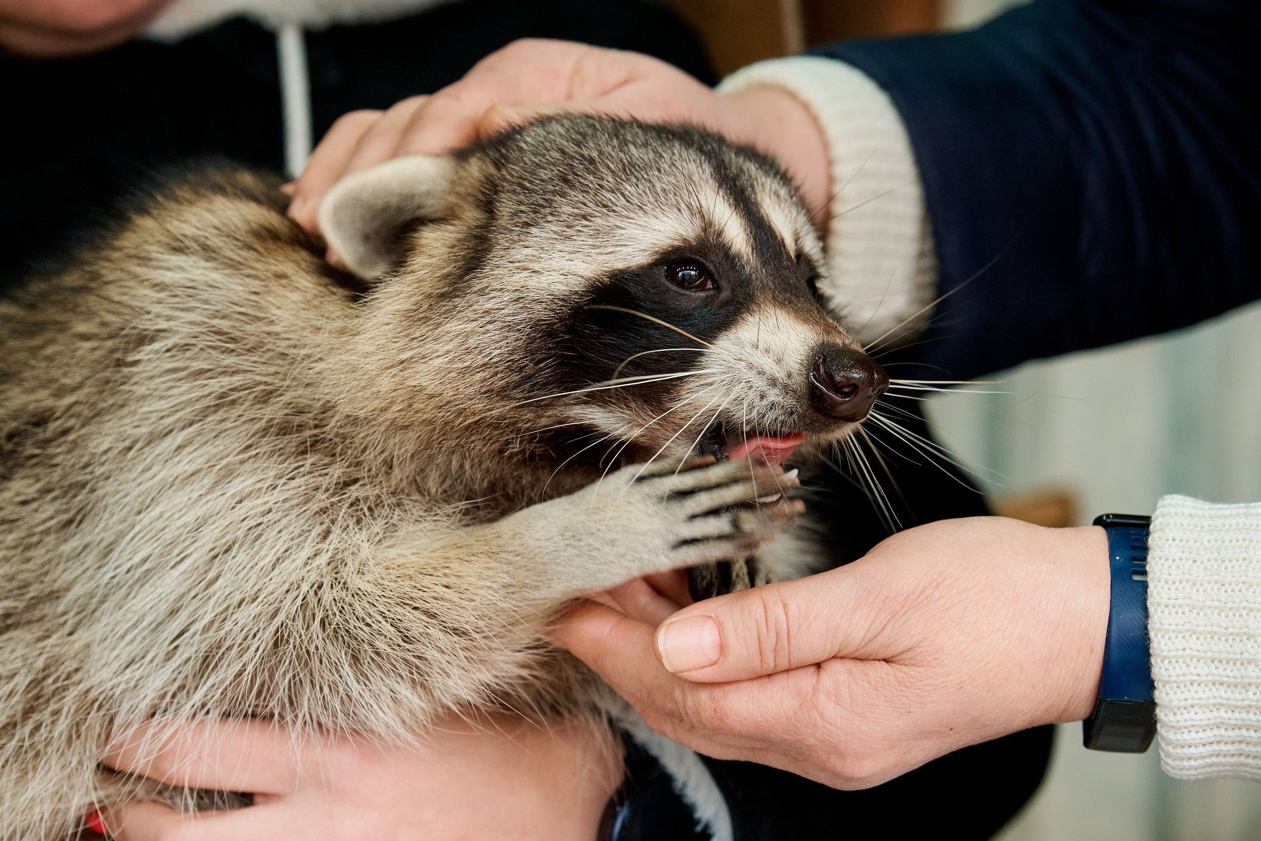Отзывы. Фотограф Таганрог Анна Трайжон