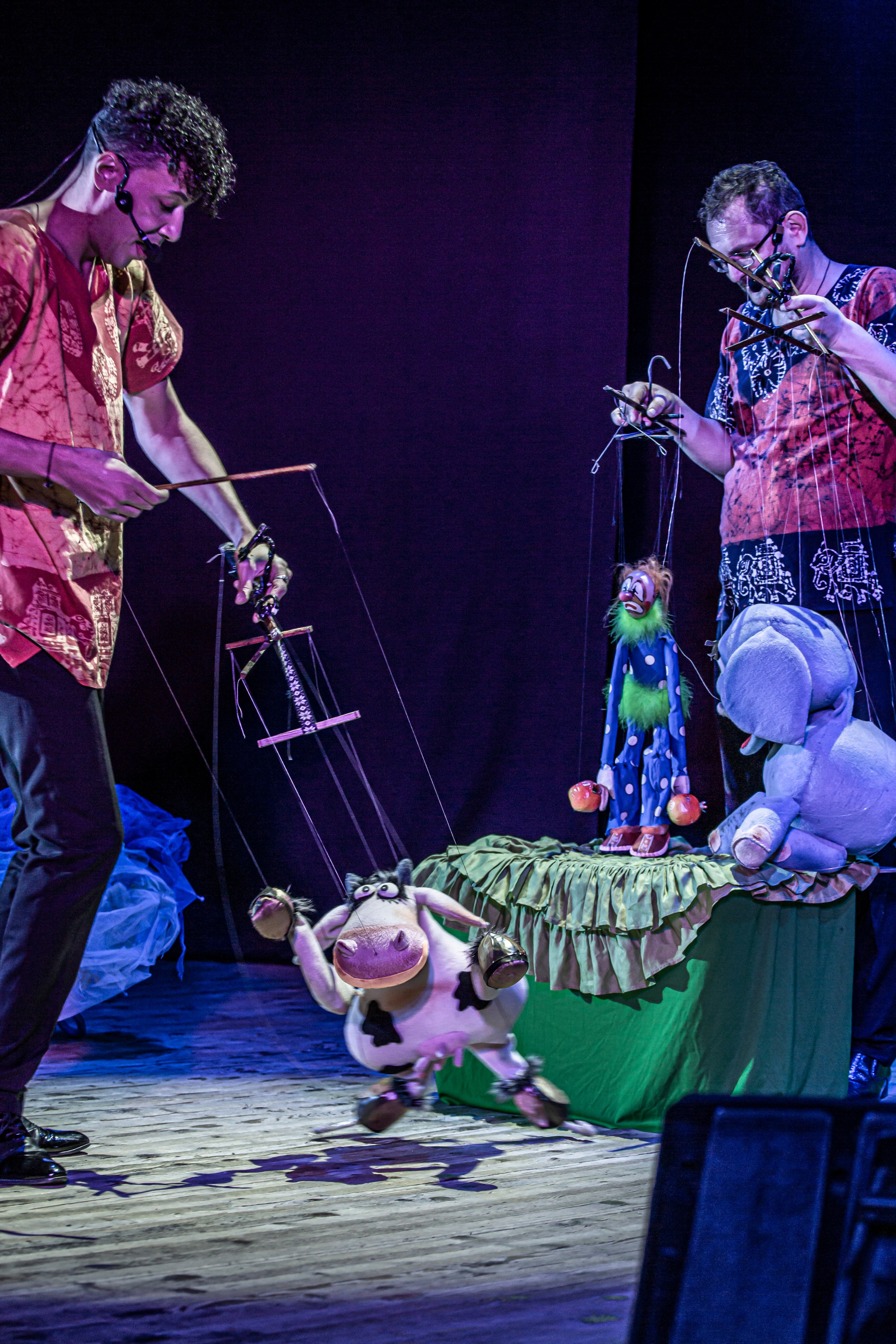 Любопытный слоненок спектакль театра Саквояж. Фотограф в Сочи Юрий Шептаев