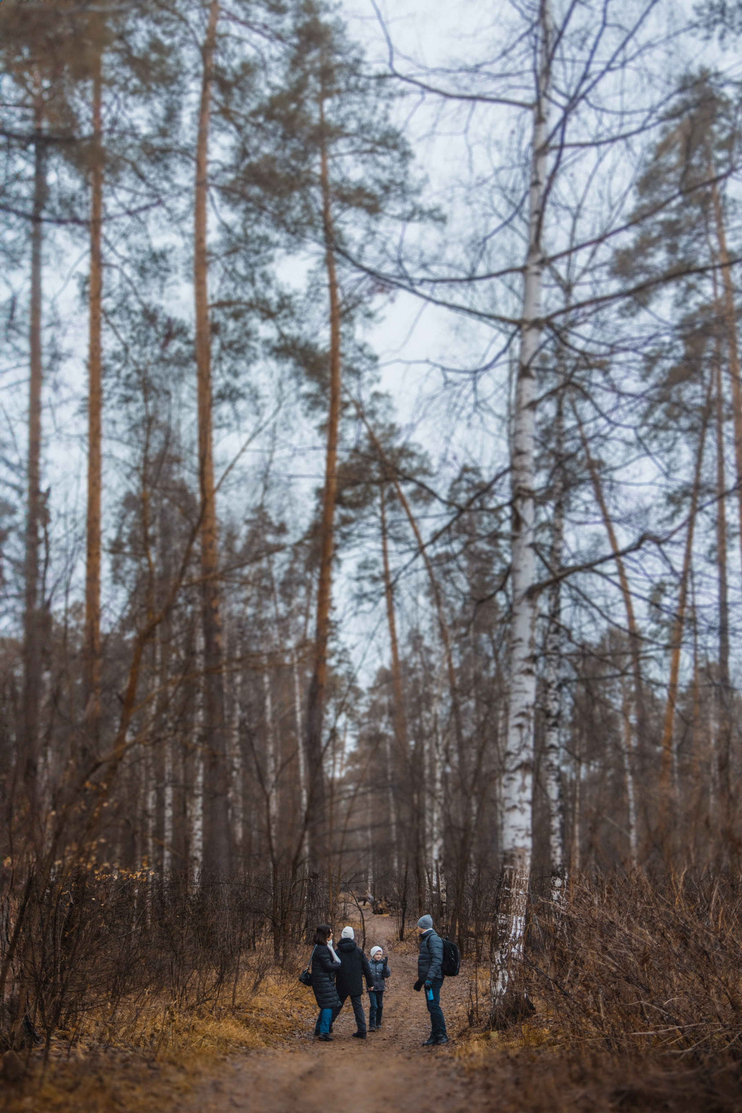 Семейные лайфстайл фотоистории. Портретный и лайфстайл фотограф в Москве, Московской области и Казани Алёна Серебренникова
