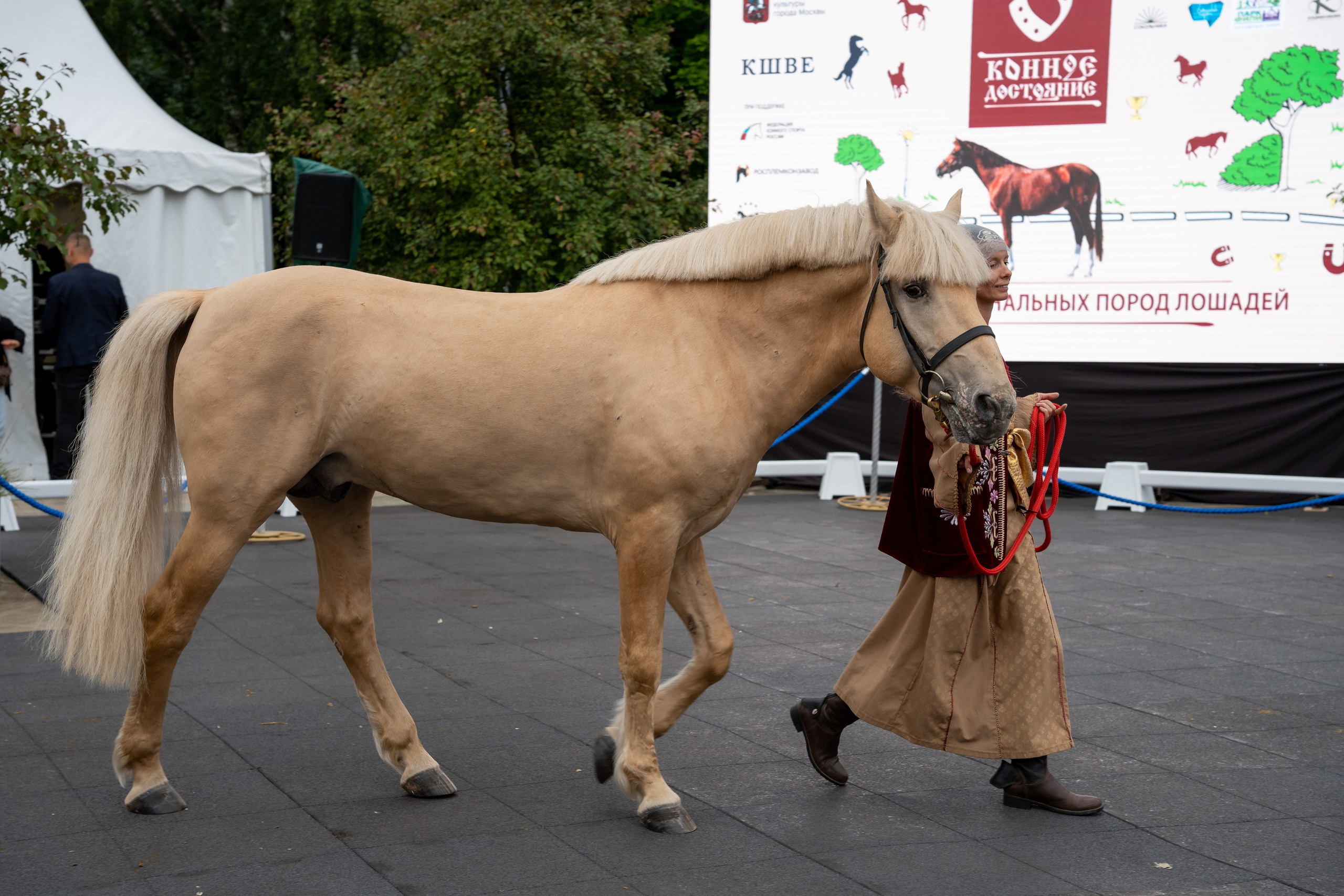 Животные. Фото, видео, монтаж