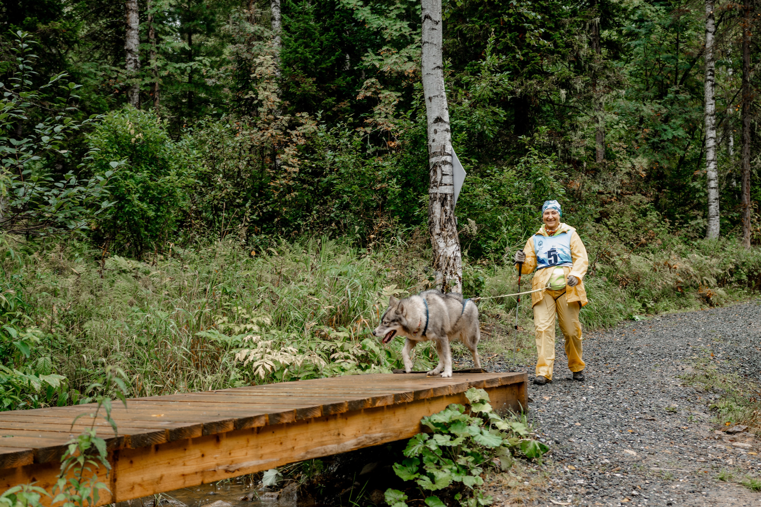 Дог-треккинг