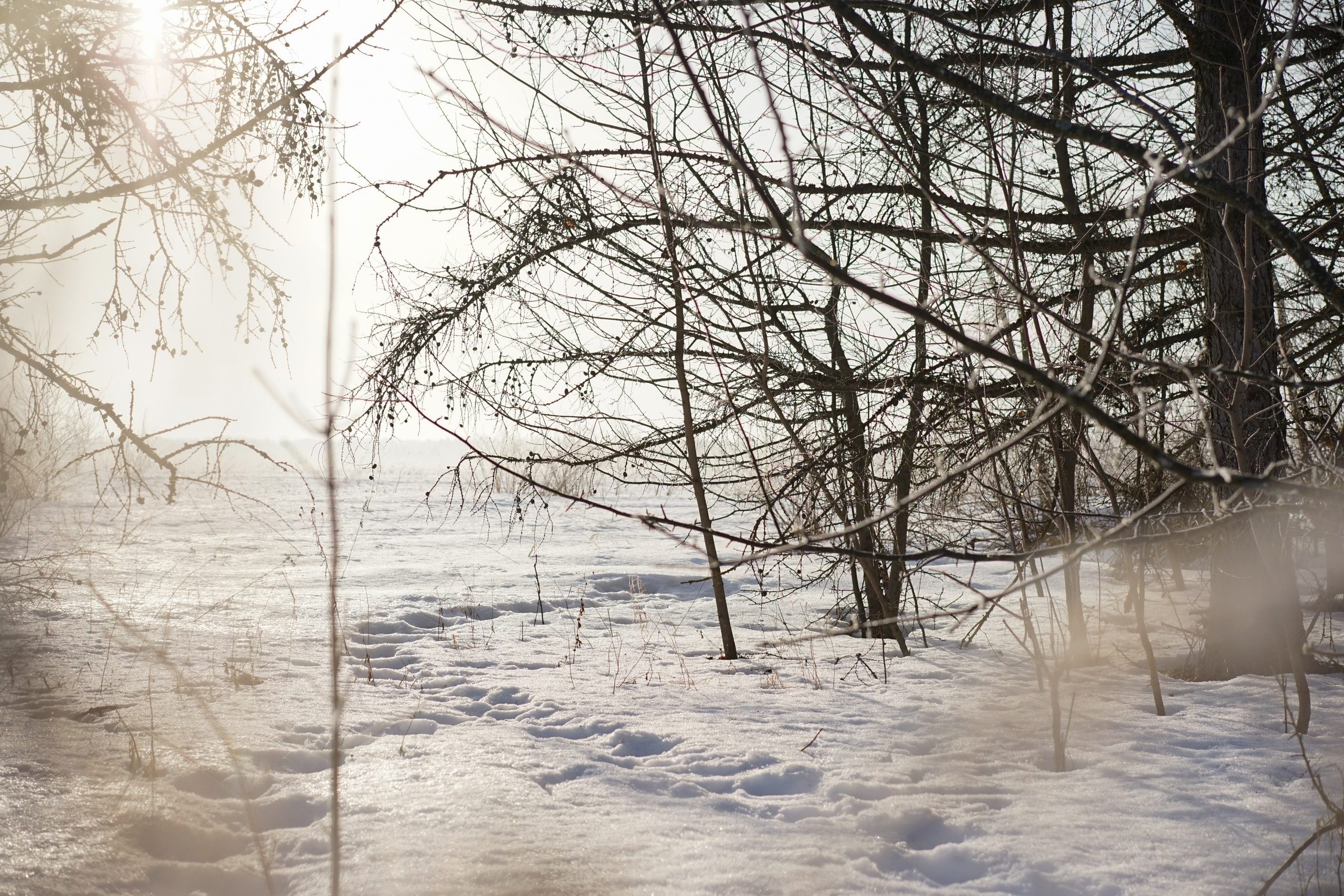 Бёхово. Лиза Фирстова — самый добрый фотограф