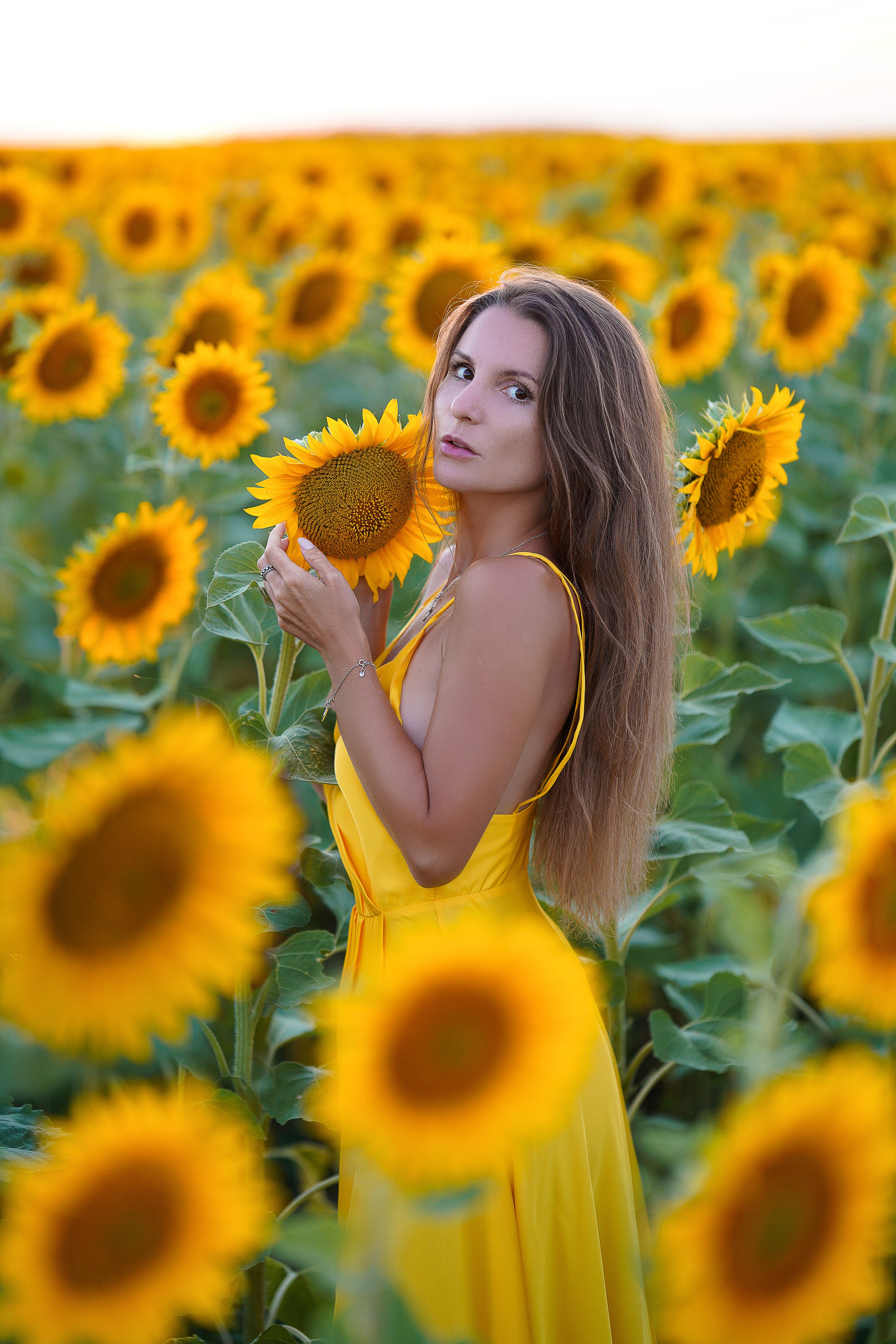 Подсолнухи. Фотограф в Крыму Лебедева Александра