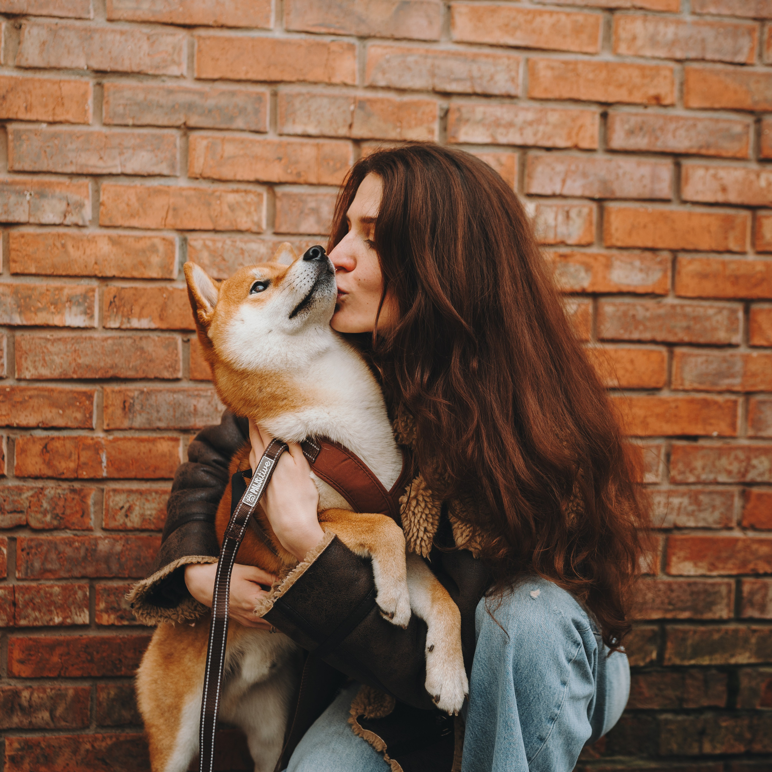 Pawsitive. Семейный фотограф анималист Ананьева Мария — Москва