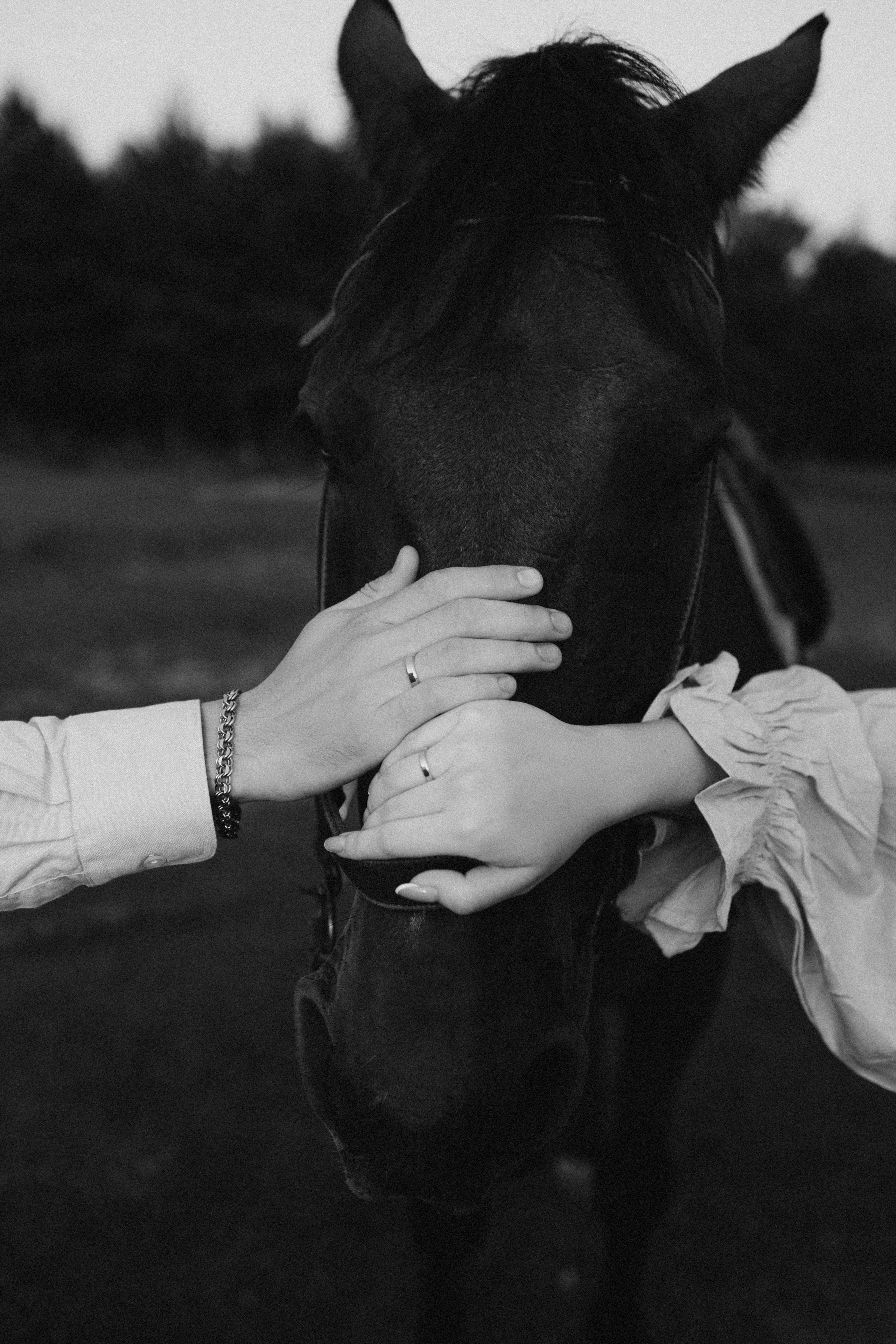 Марина и Максим. Фотограф в Туле и Алексине Стулова Мария