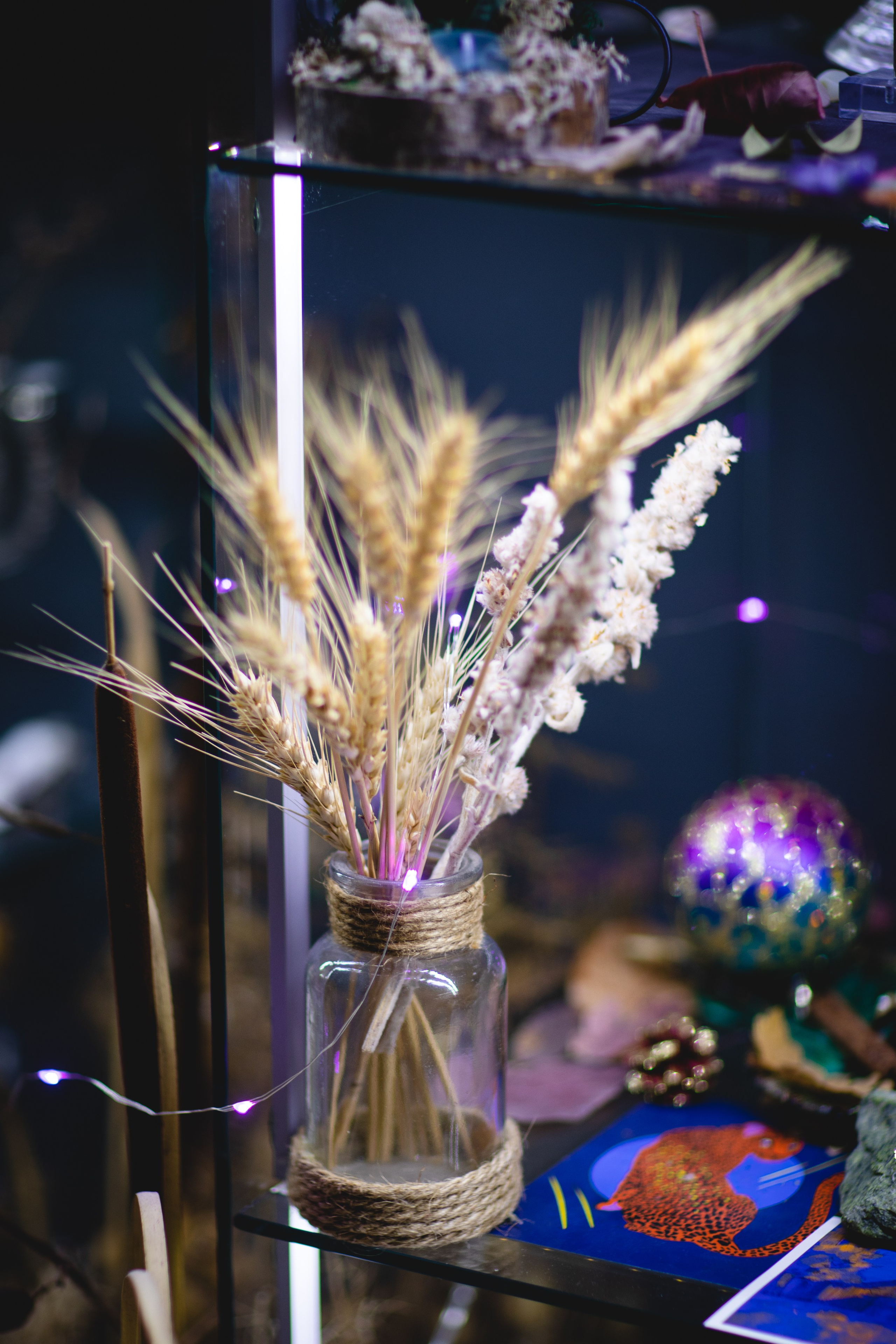 МАРТ-лавка красивых вещей). Семейный фотограф в Москве Анастасия Гурьянова