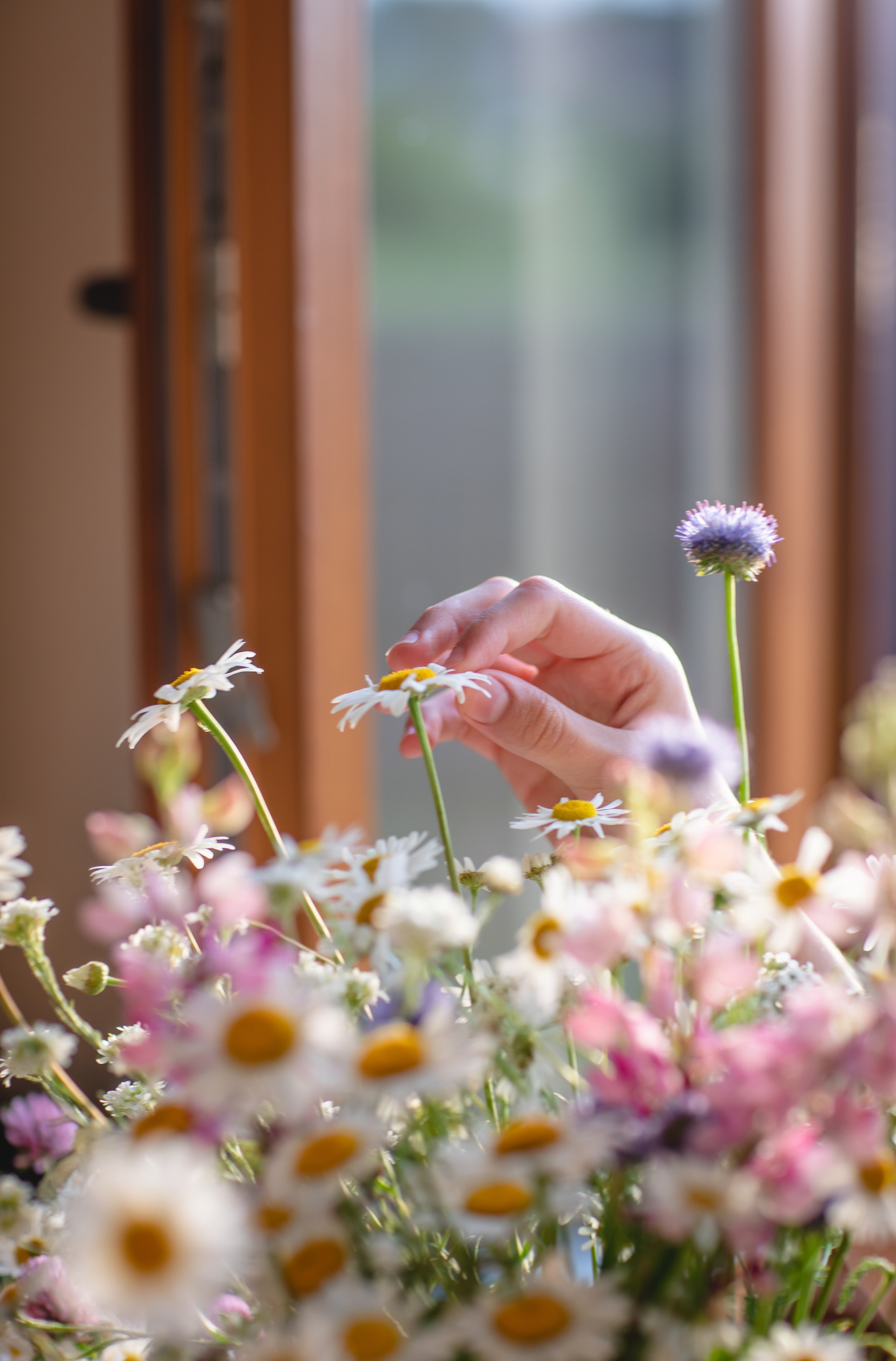 Фототуур «Край озёр» Лето. Семейный фотограф в Москве Анастасия Гурьянова