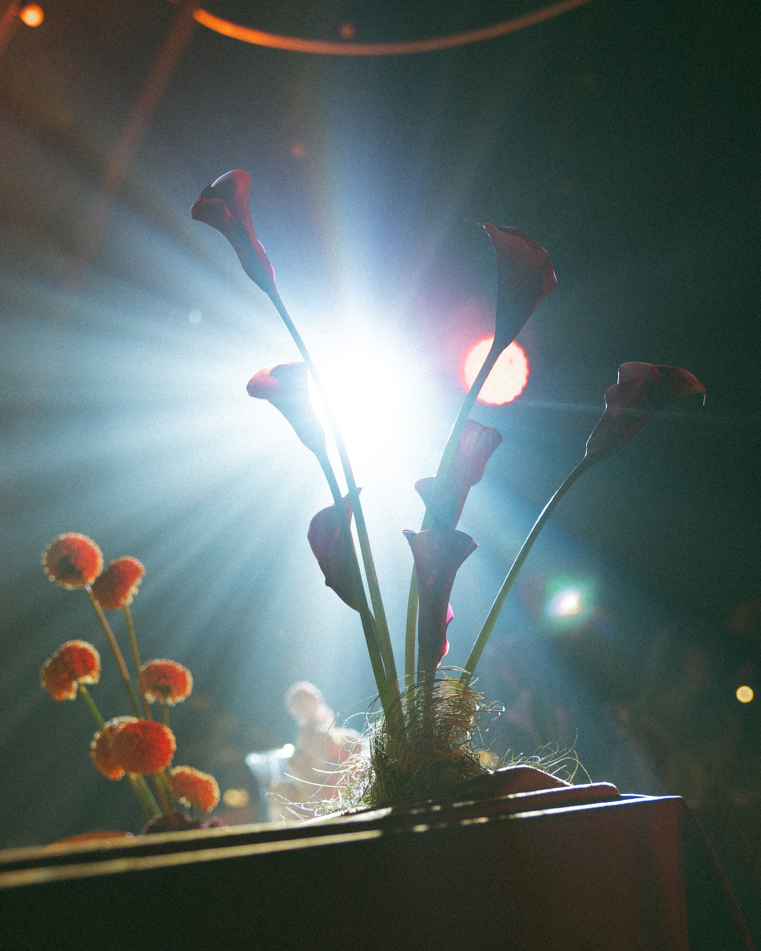 Luv. Свадебный фотограф Максим Яненко в Волгограде