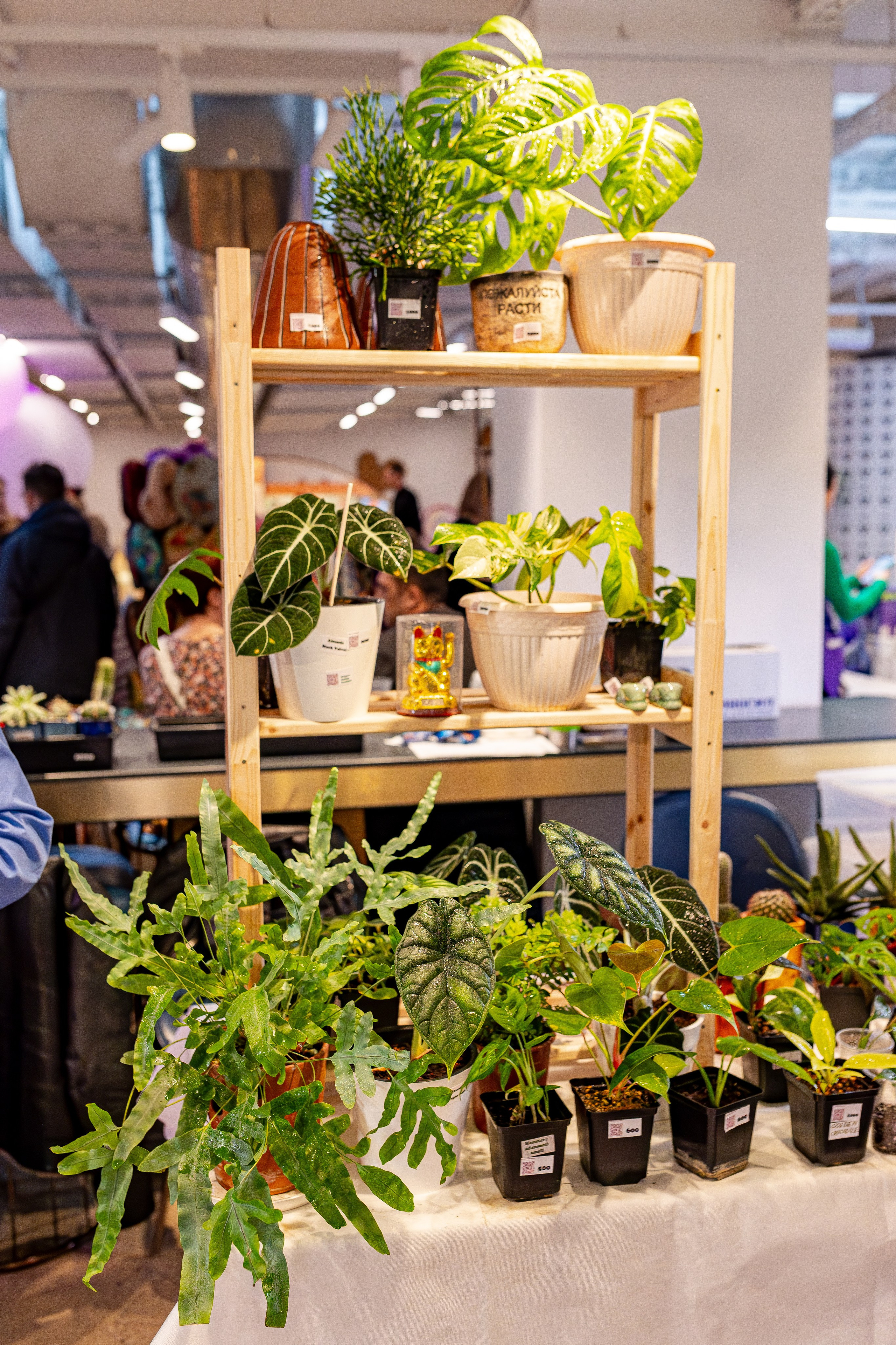 Growbox 1–2 марта. Александра Куликова фотограф, Москва