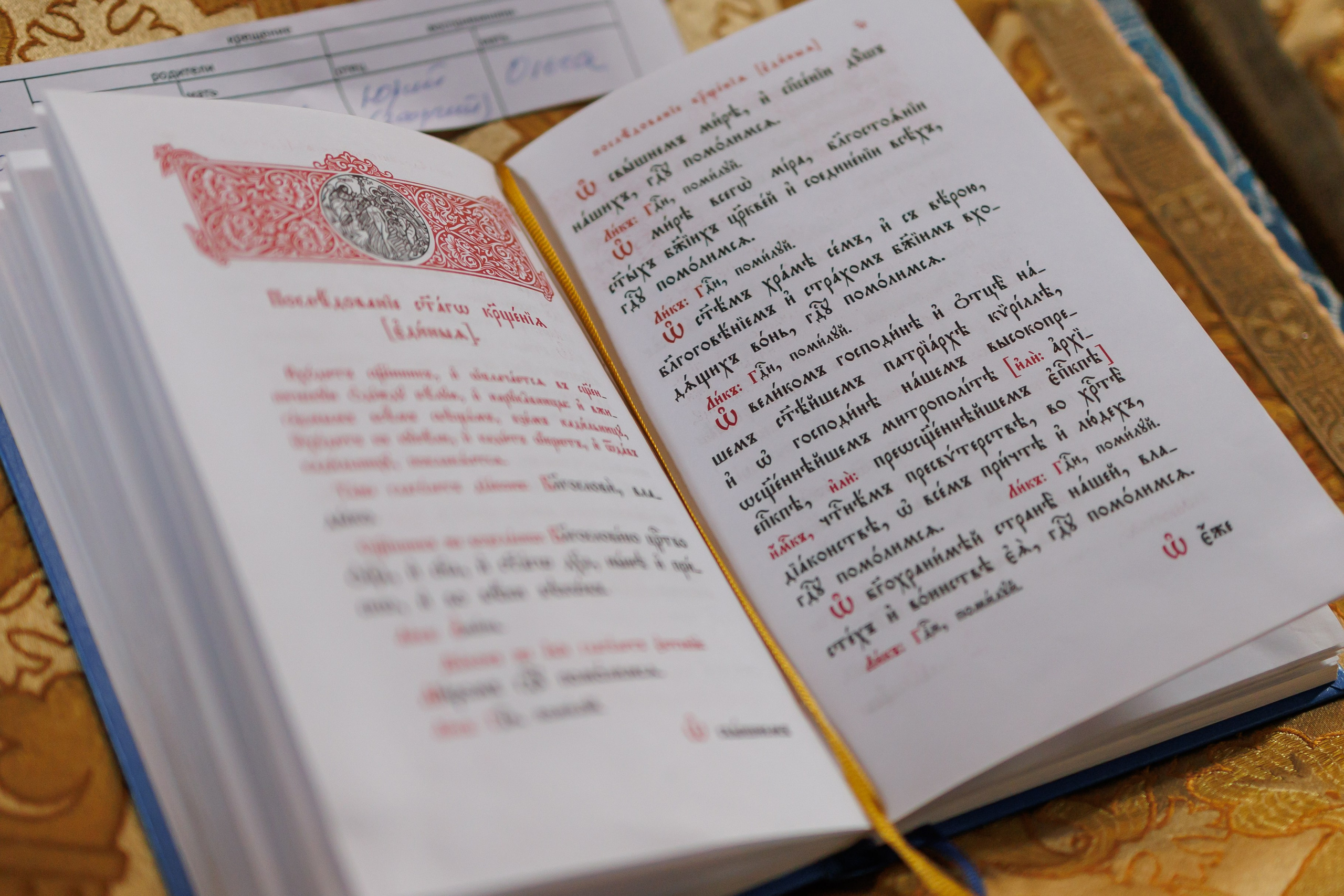 Николь. Свадебный фотограф. Москва. Мытищи