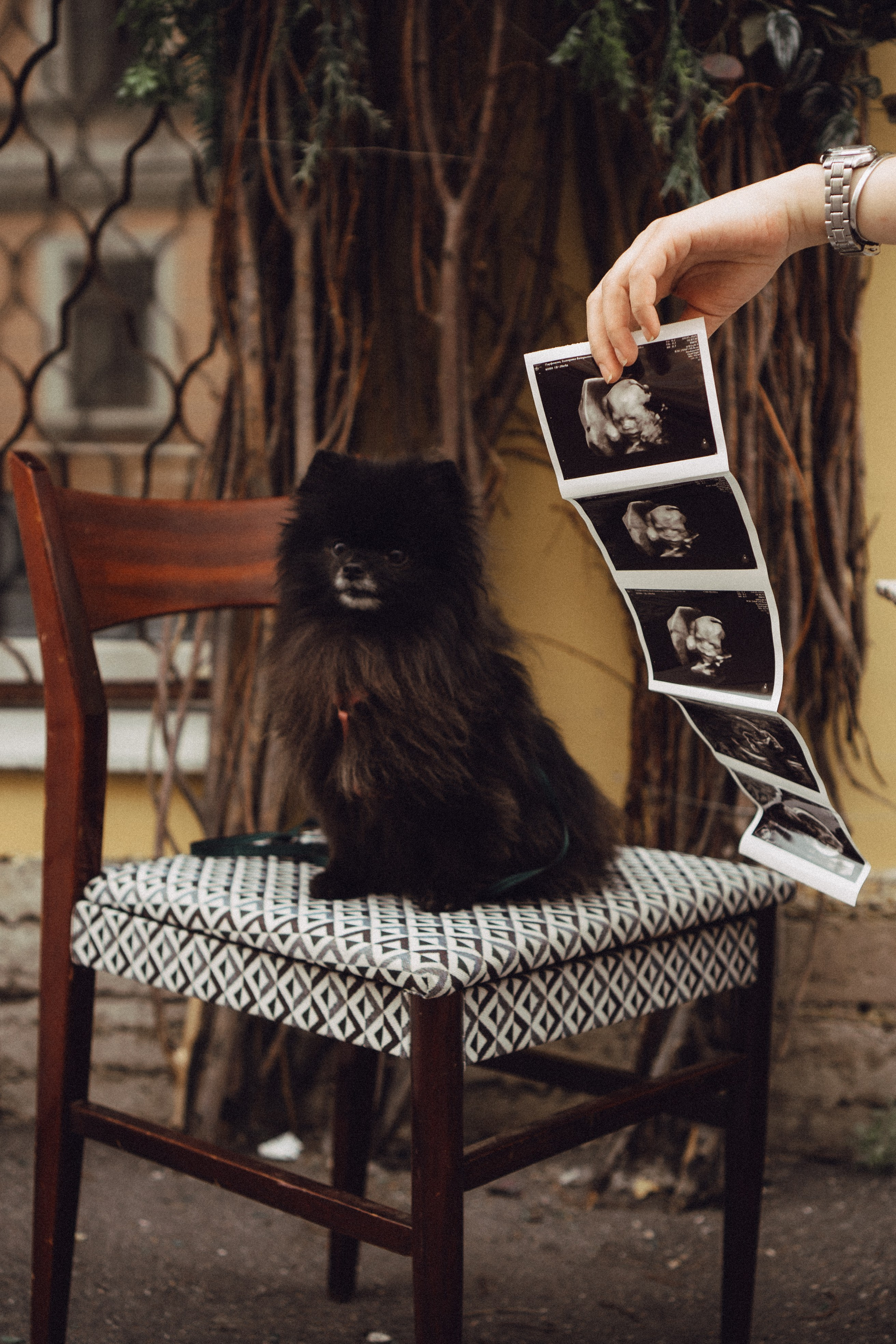 Беременность (только часть фото по желанию клиентов могу показать)). Профессиональный фотограф, Санкт-Петербург — Виктория Богомолова