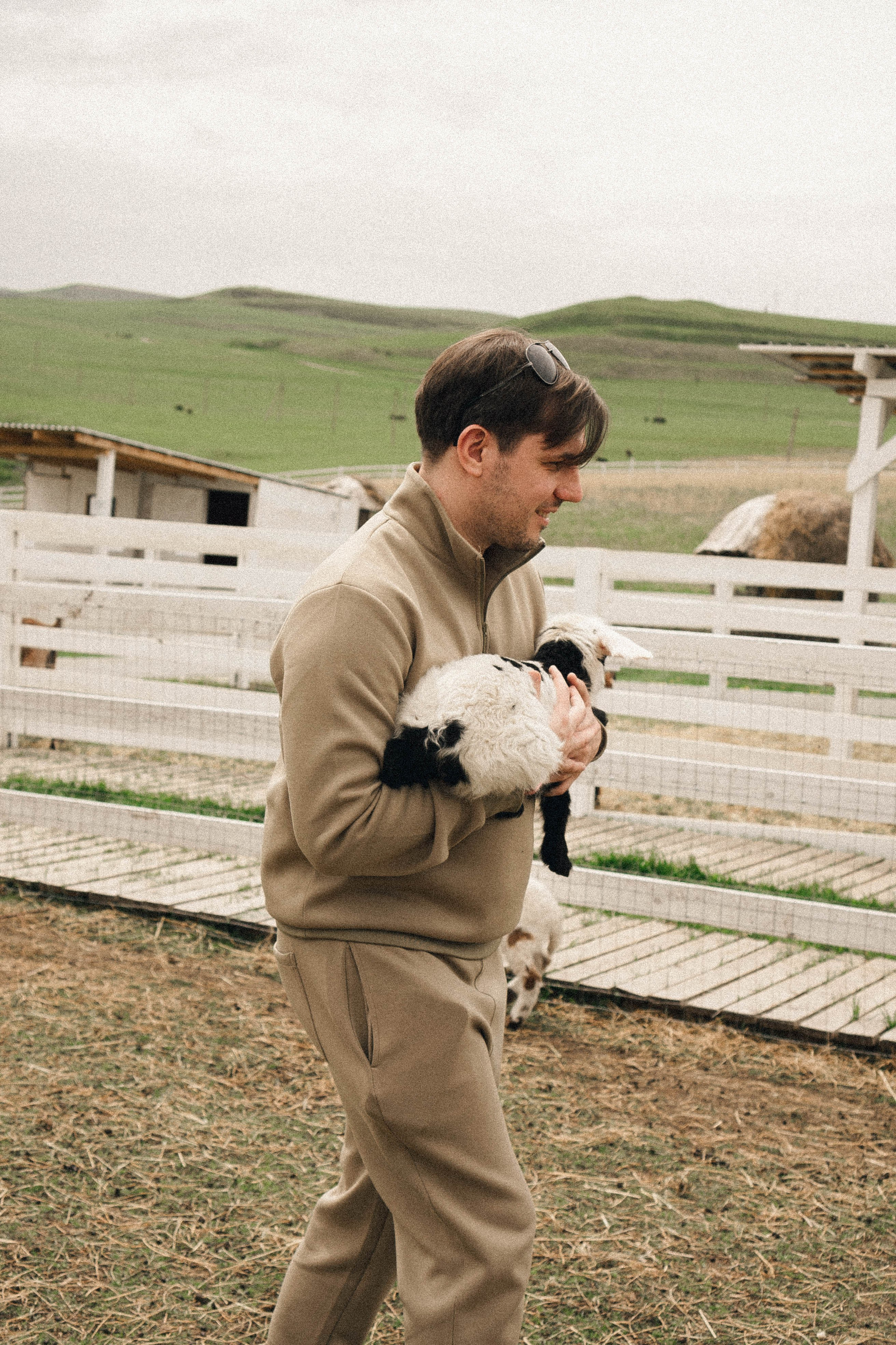 Ферма Альпак. Профессиональный фотограф, Санкт-Петербург — Виктория Богомолова