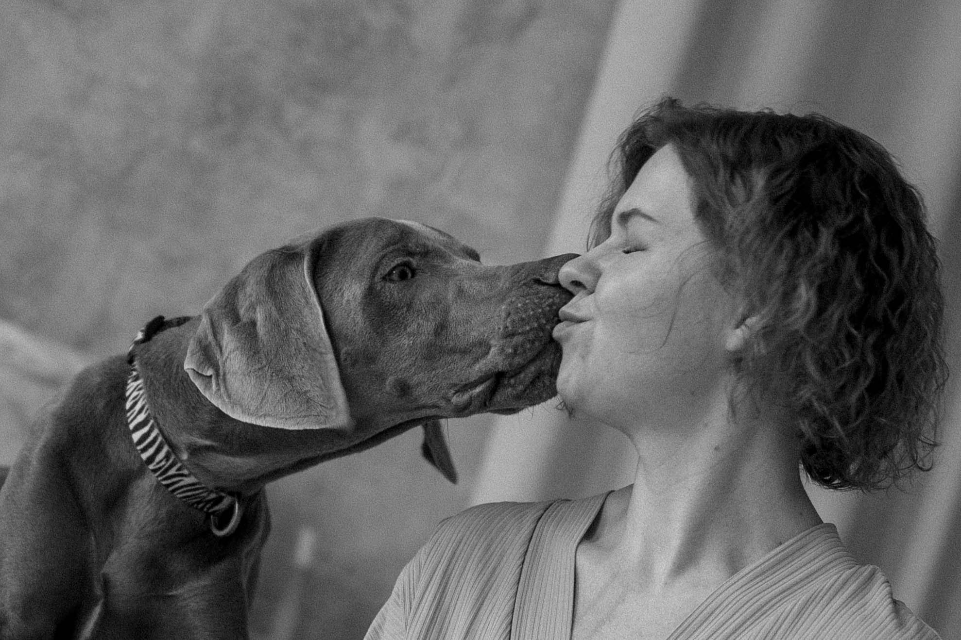 Фотосессия в студии с собакой. Фотограф-анималист в Екатеринбурге | Кристина