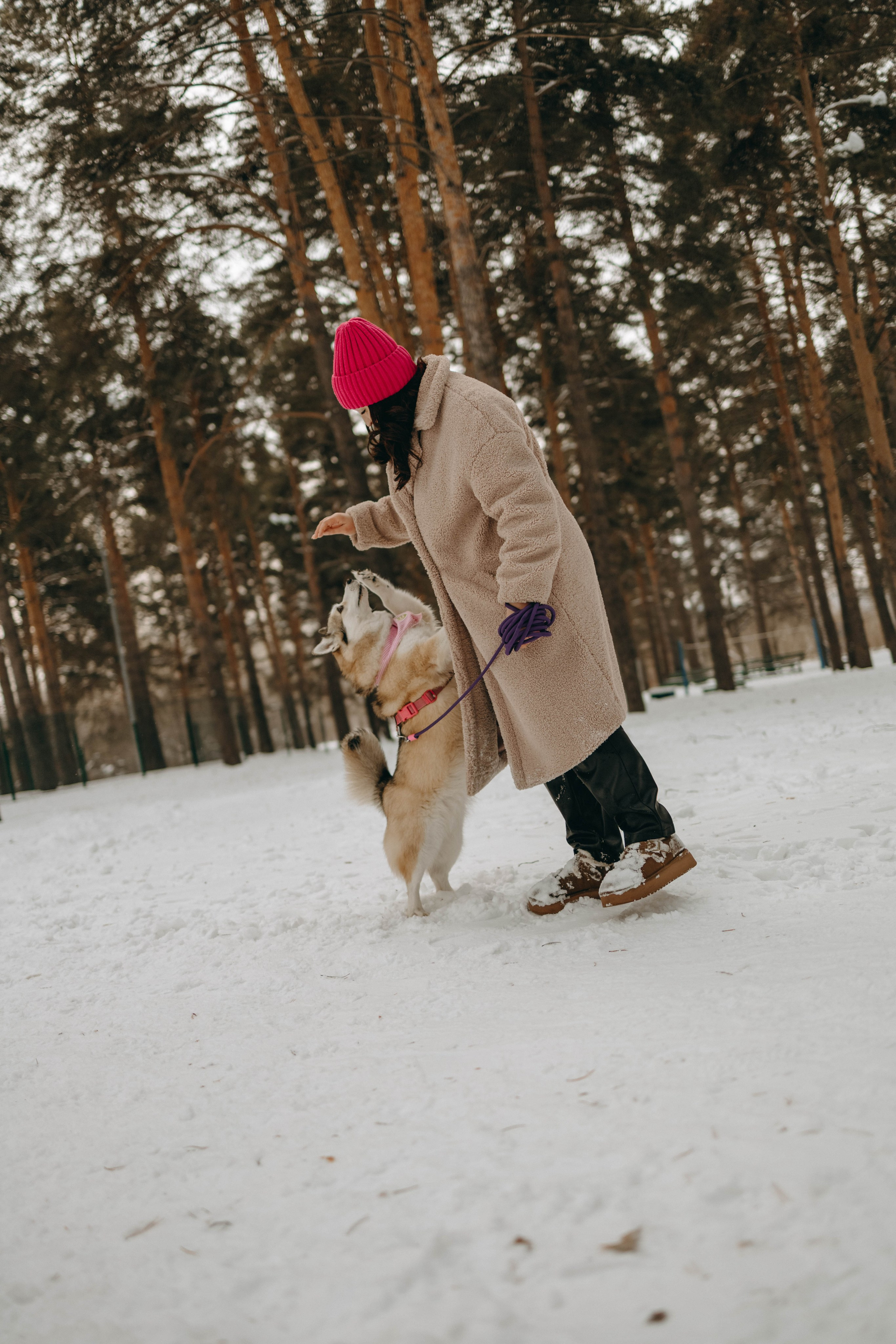 Варвара и Шелби. Фотограф-анималист в Екатеринбурге | Кристина