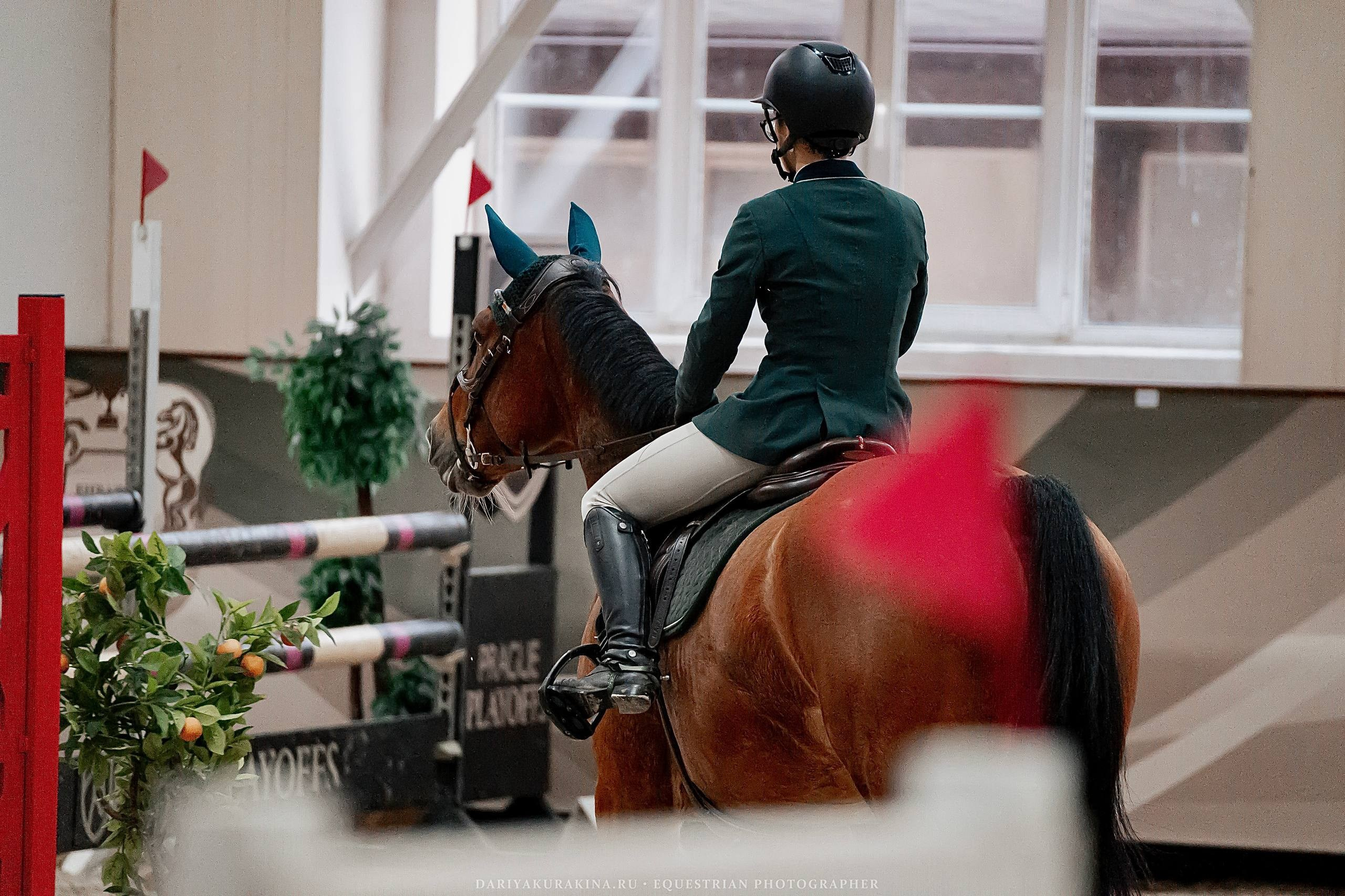 ЗИМНИЙ КУБОК ФЕДЕРАЦИИ КОННОГО СПОРТА ГОРОДА МОСКВЫ. Куракина Дарья • Конный фотограф