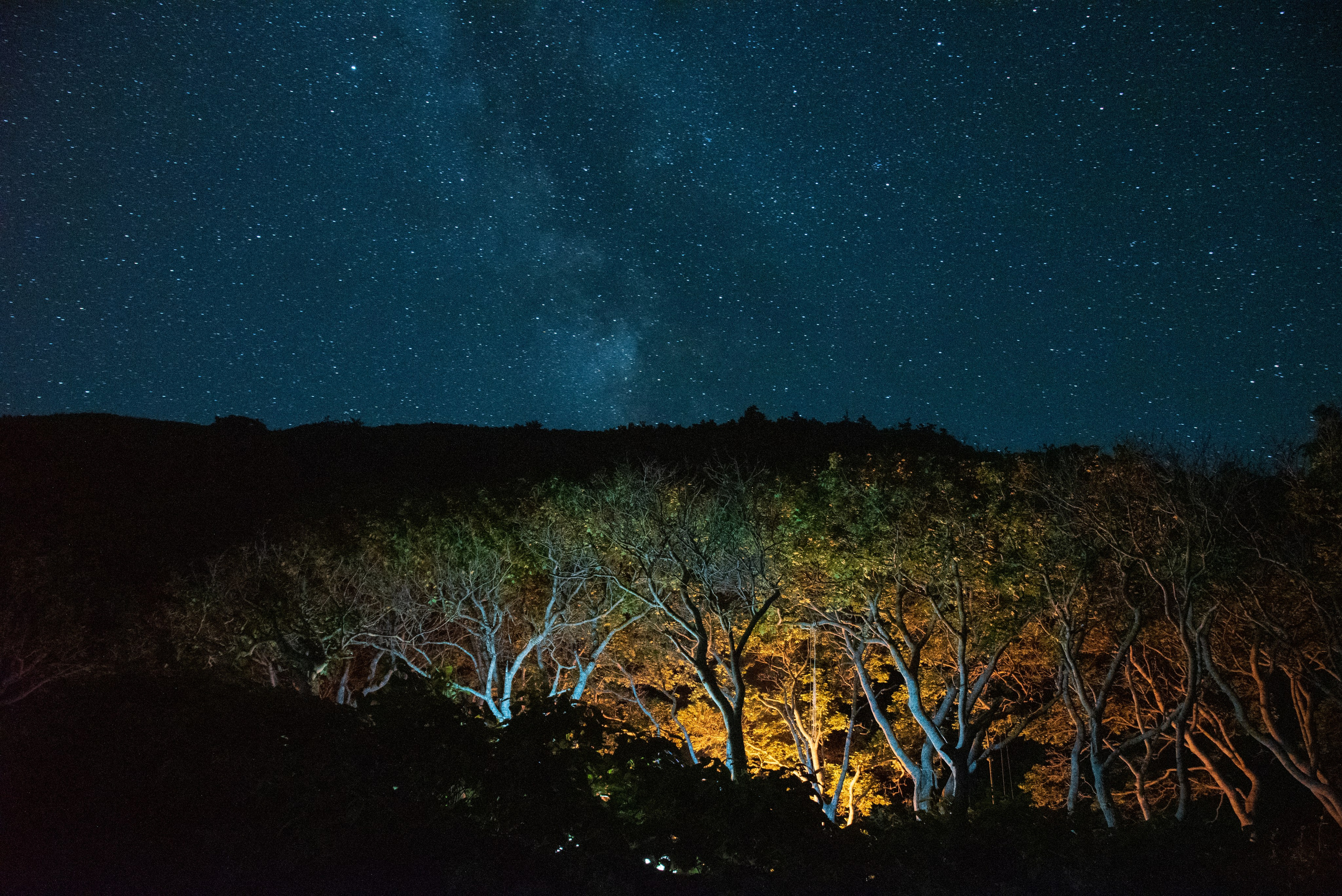 Сахалин и Курильские острова. Фотограф Алиса Калинина