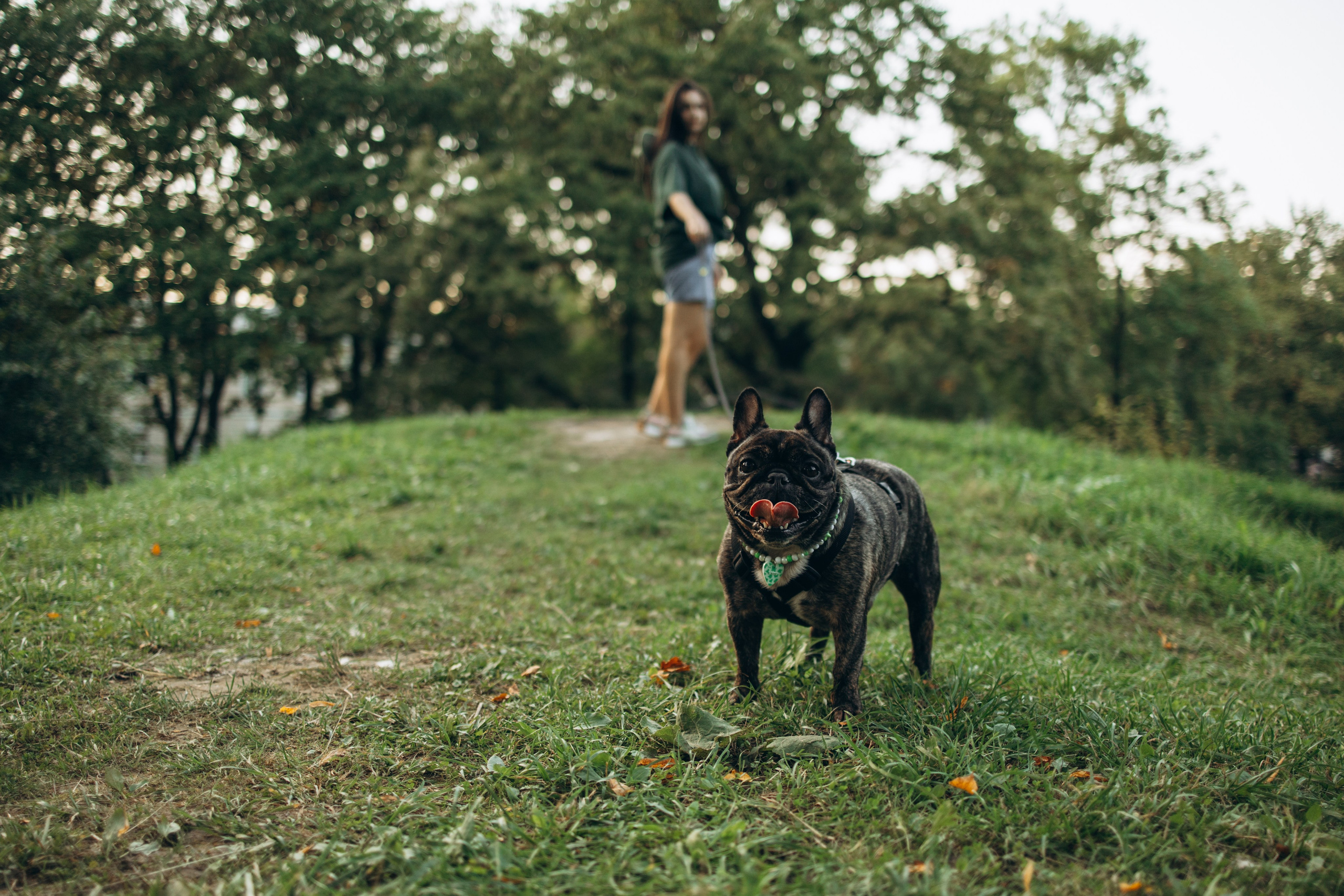 Олеся и Луи. Фотограф — Анималист | Санкт-Петербург