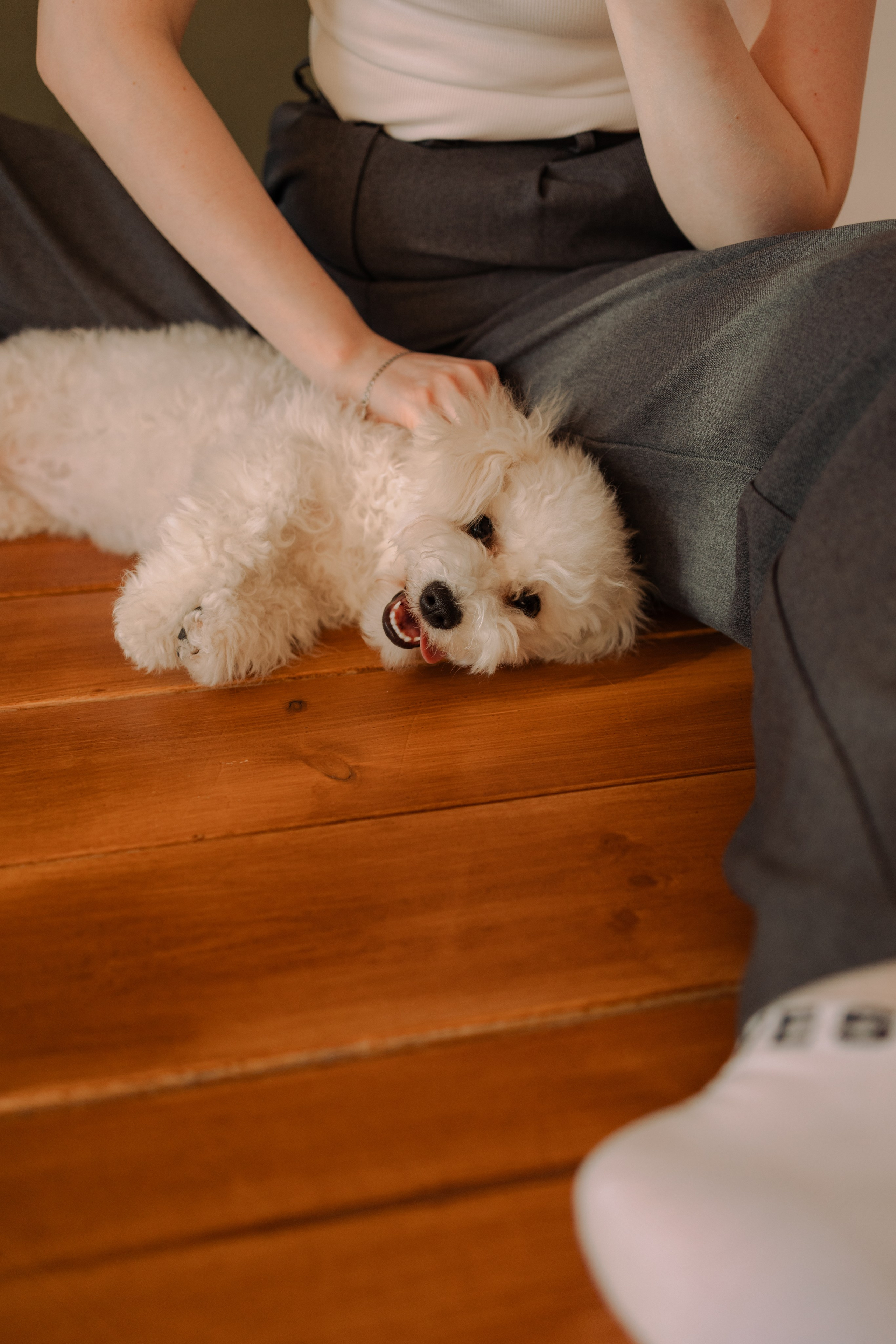 Луна и ее семья. Фотограф — Анималист | Санкт-Петербург