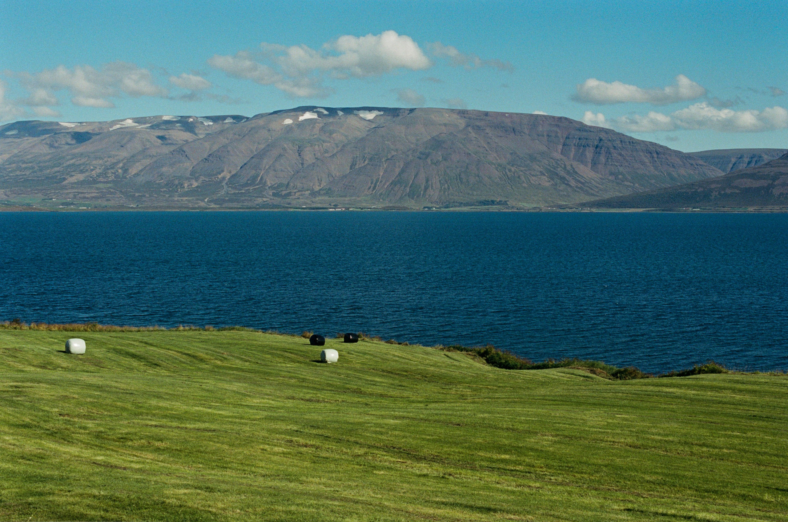 Vor i vaglaskogi // iceland, 82. EVER EXPOSED