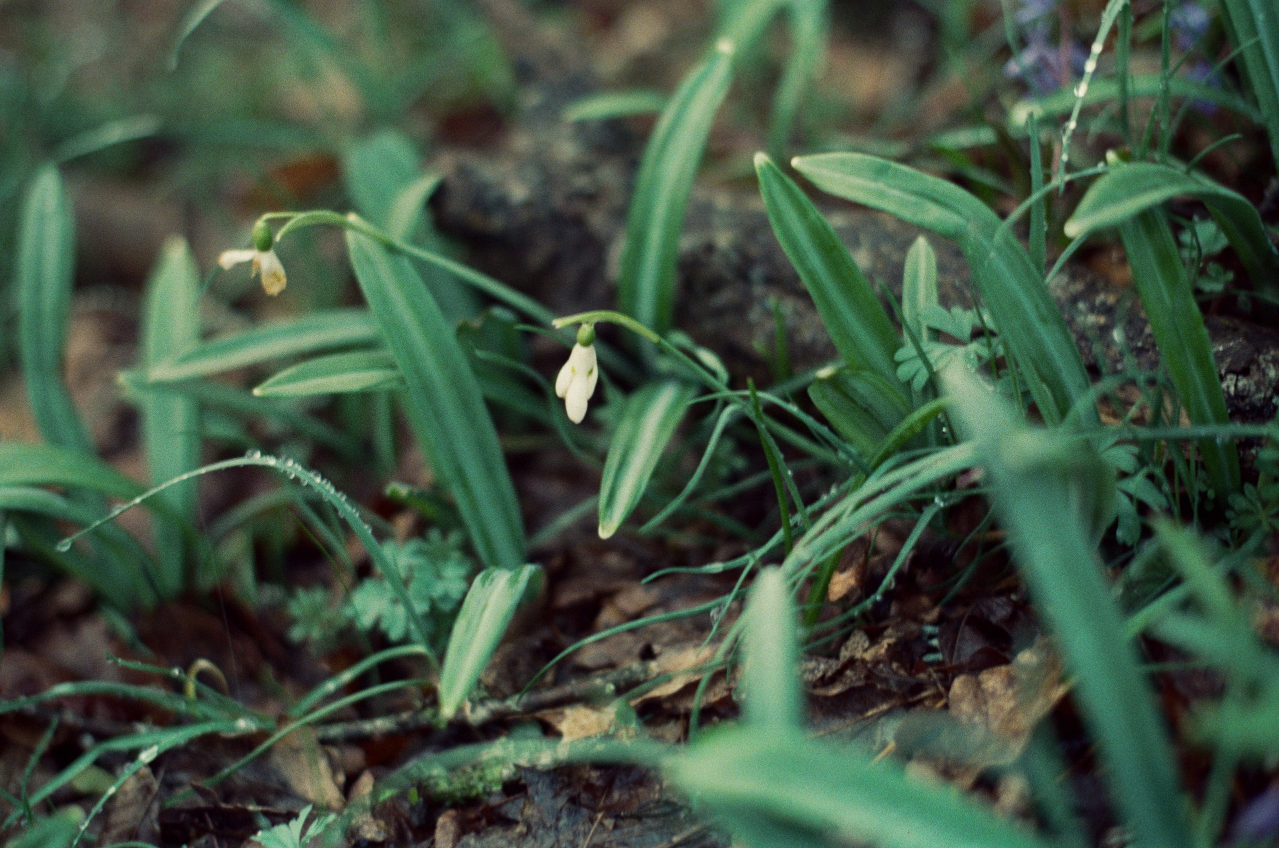 Some kind of madness // ukraine, crimea. EVER EXPOSED