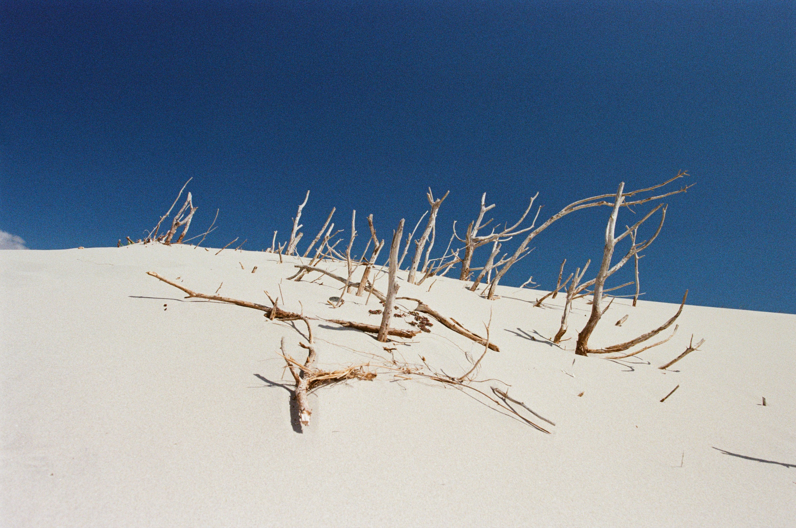 Coraline // sardinia, is arenas biancas II. EVER EXPOSED