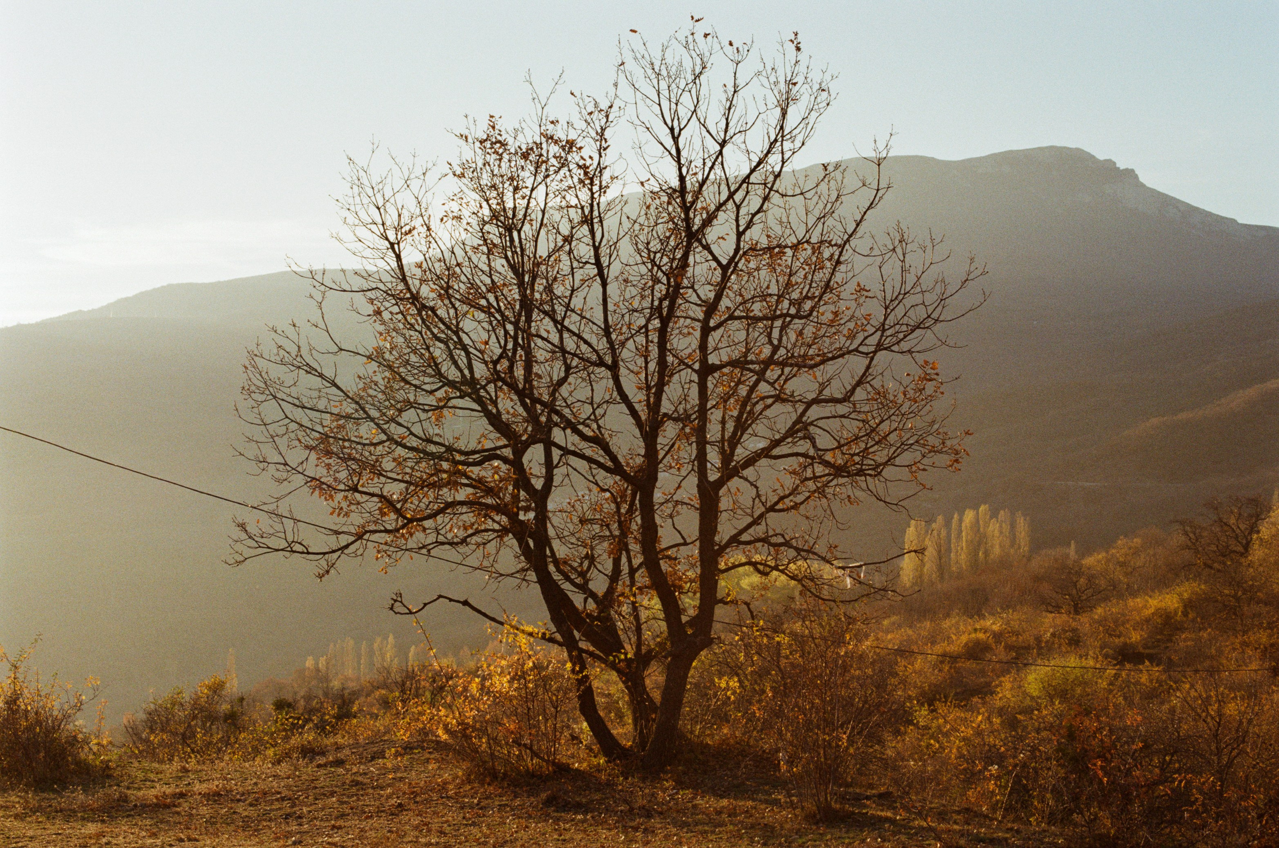 Wherever you will go // ukraine, crimea VI. EVER EXPOSED