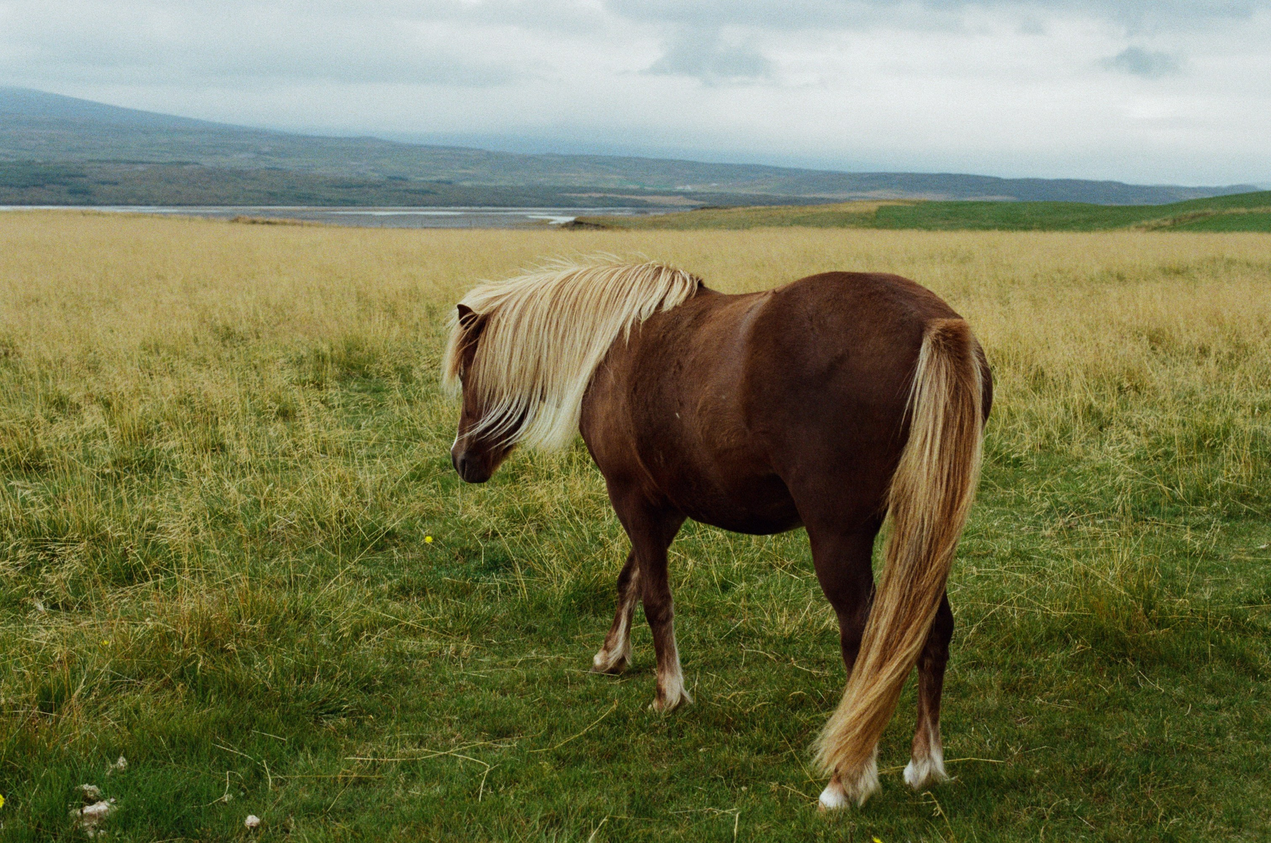 Bloodline // iceland. EVER EXPOSED