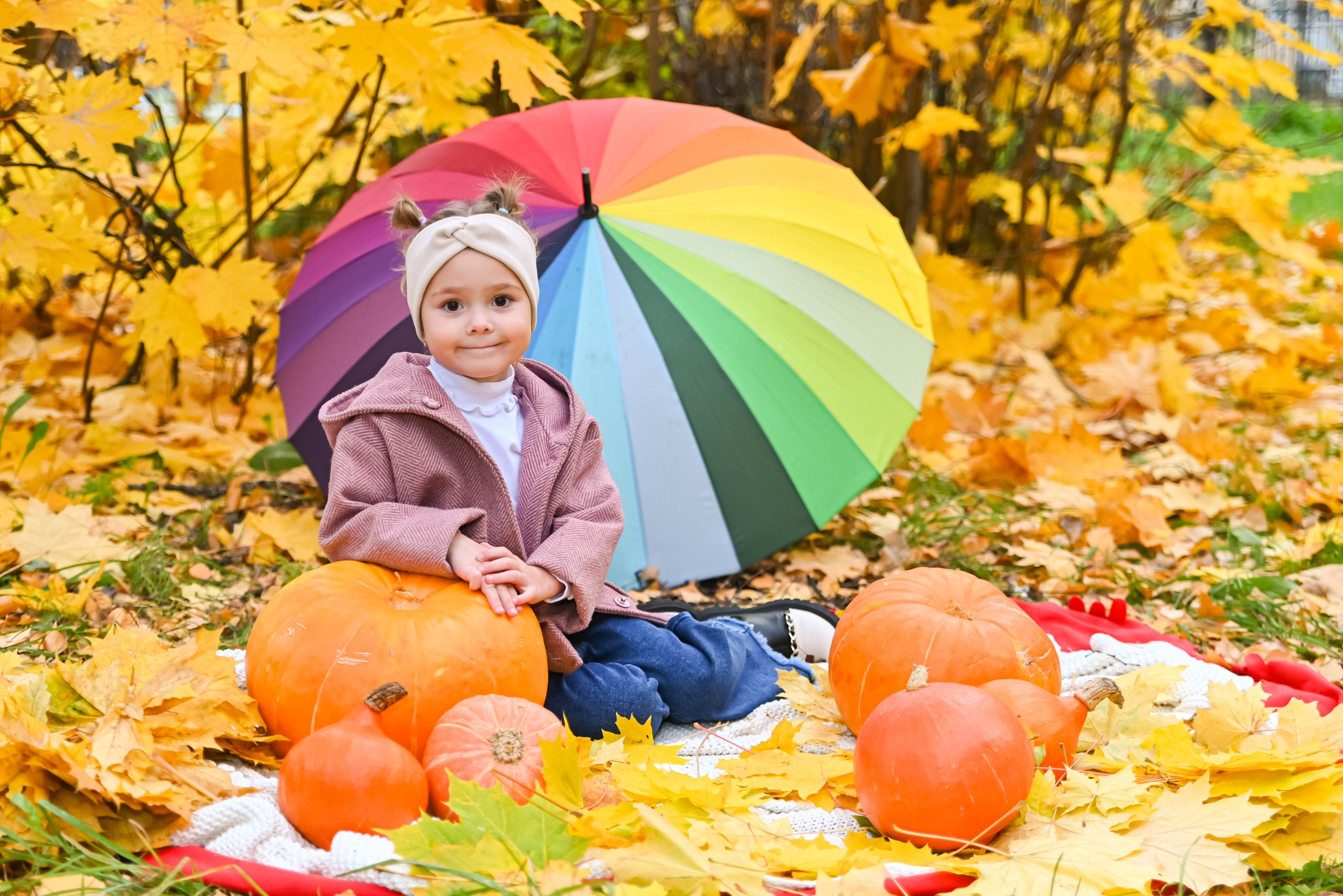 Золотая осень. Выпускные альбомы для детских садов Санкт-Петербург