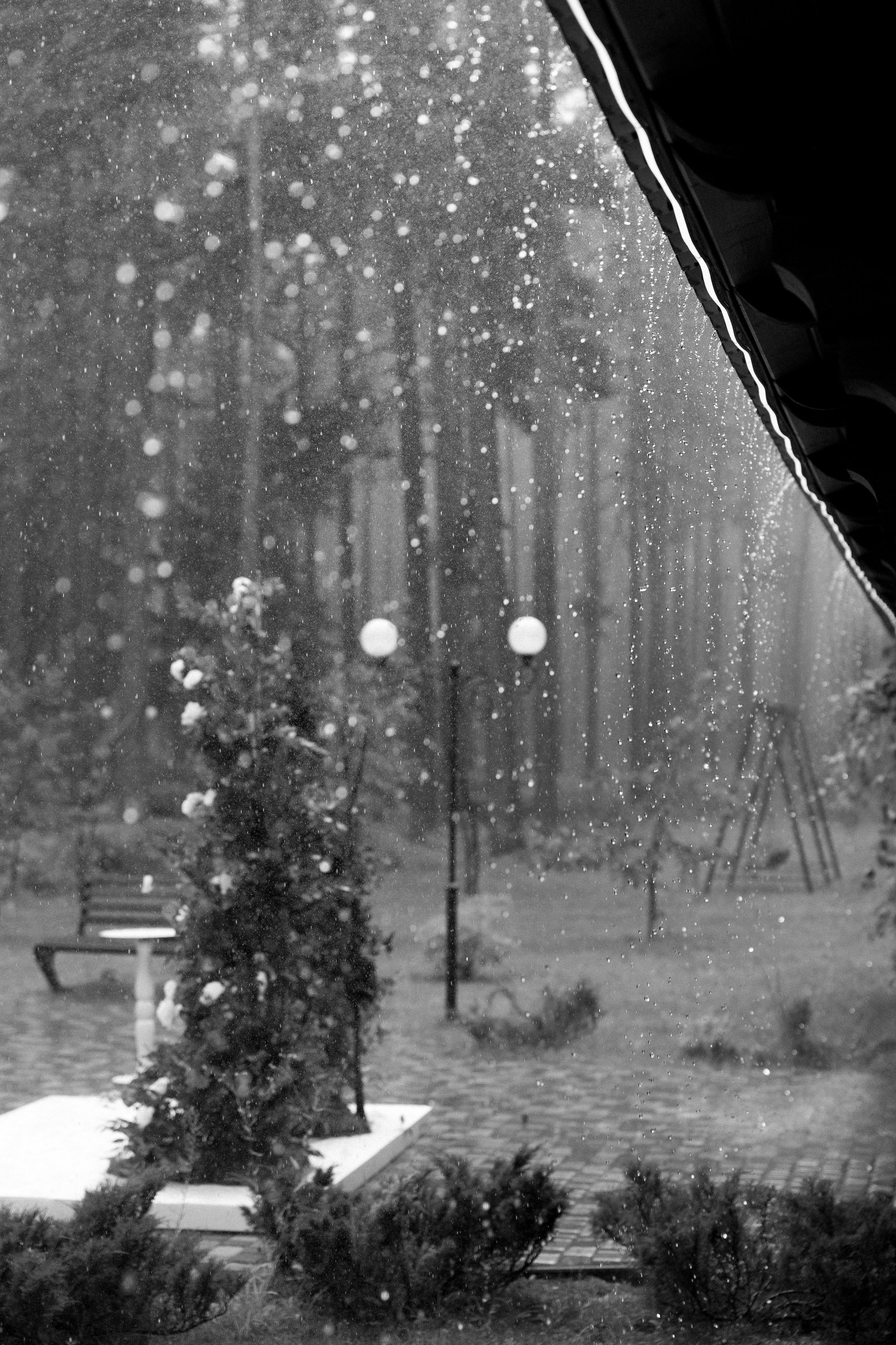 Свадьба Дарьи и Евгения. Фотограф Петр Капралов