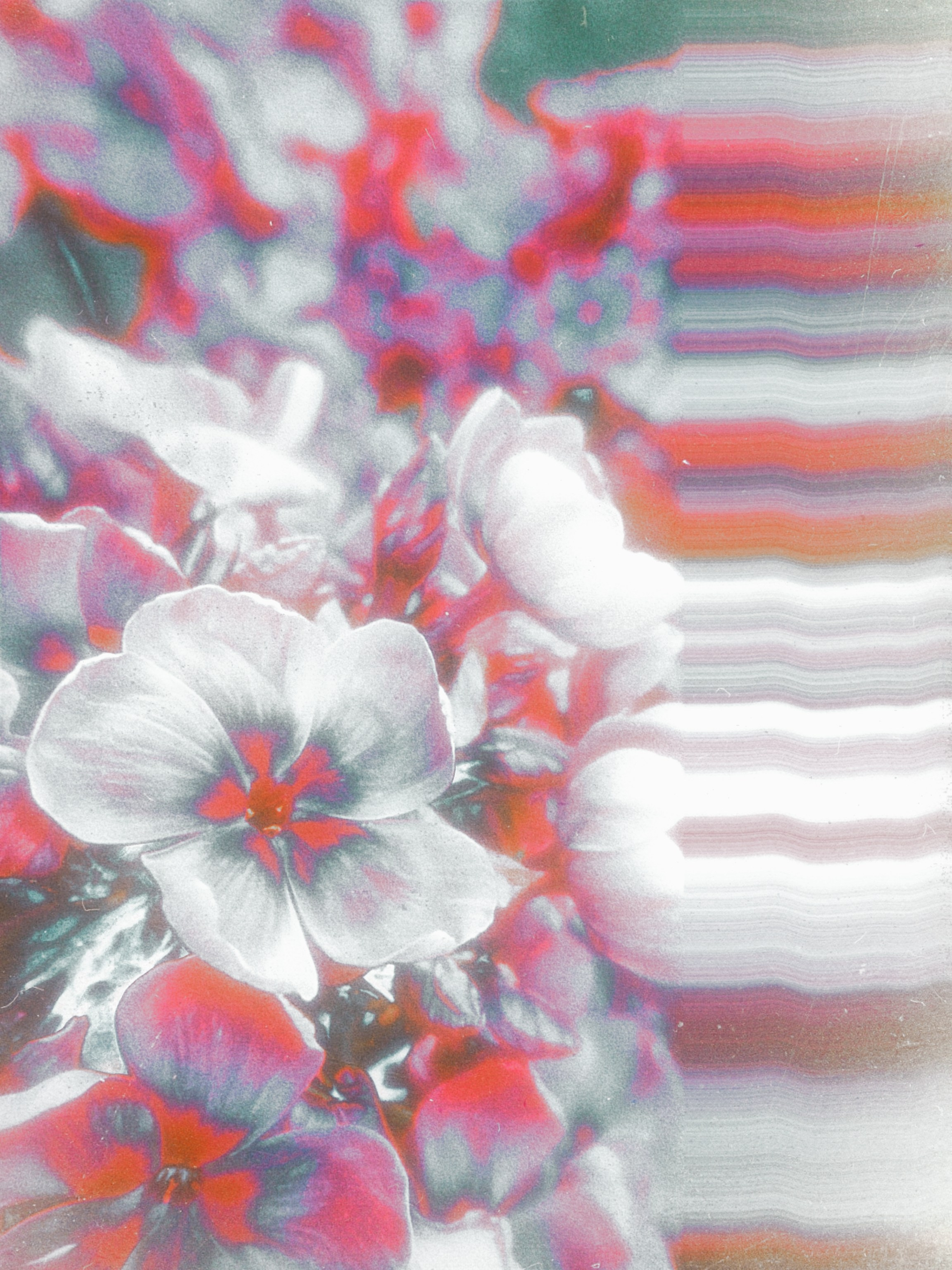 Street/travel. Sveti Sveta • визуальный артист Светлана Дубских