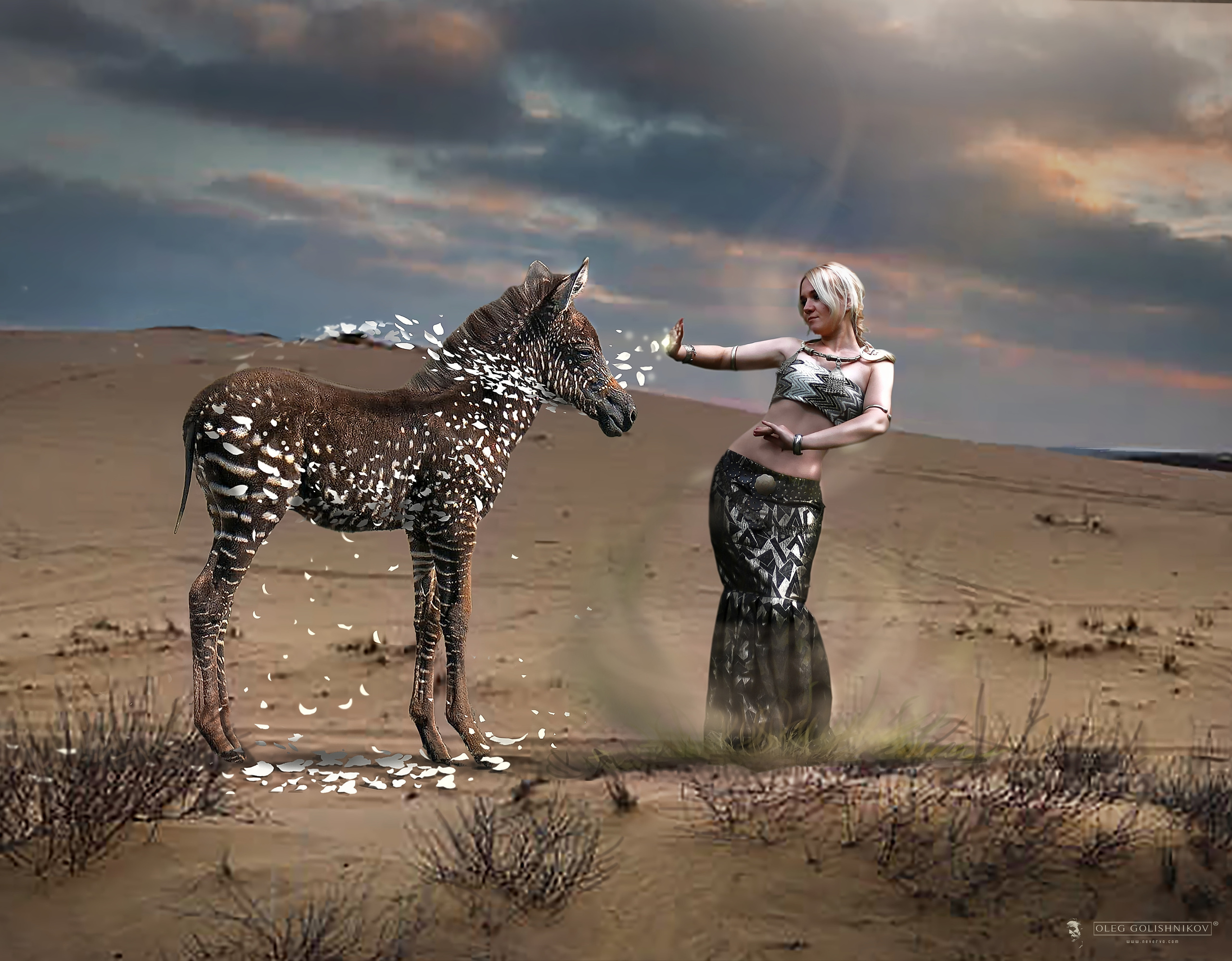 Арт-фотограф, фото художник в Москве Олег Голишников. Арт-фотограф Олег Голишников. Творческая мастерская