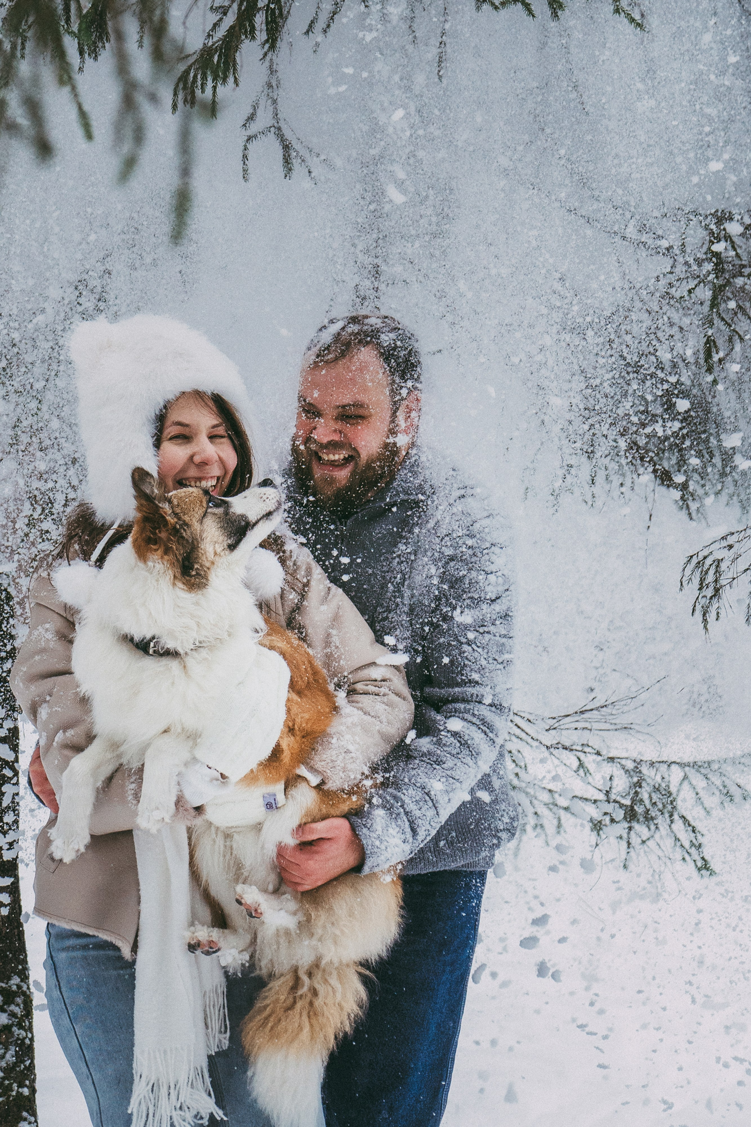Катя, Анатолий и Елай. Фотограф анималист в Москве и Санкт-Петербурге Свиридова Анна