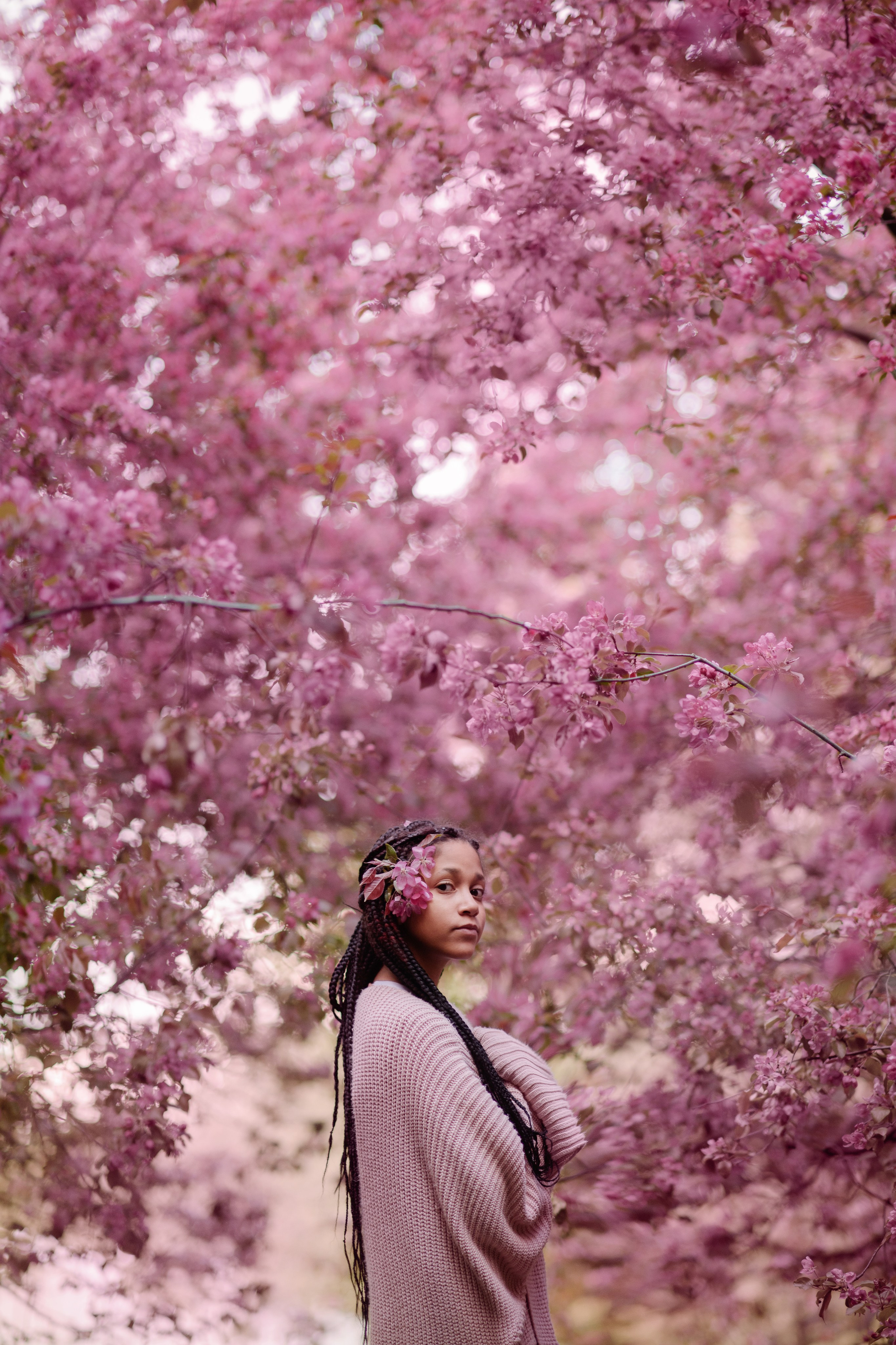 Яблони в Коломенском. Ясмина. Главная