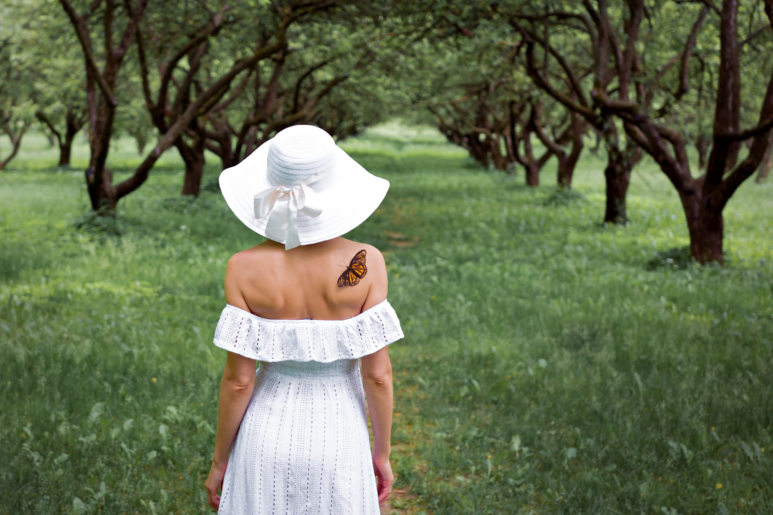 Зелёная симфония