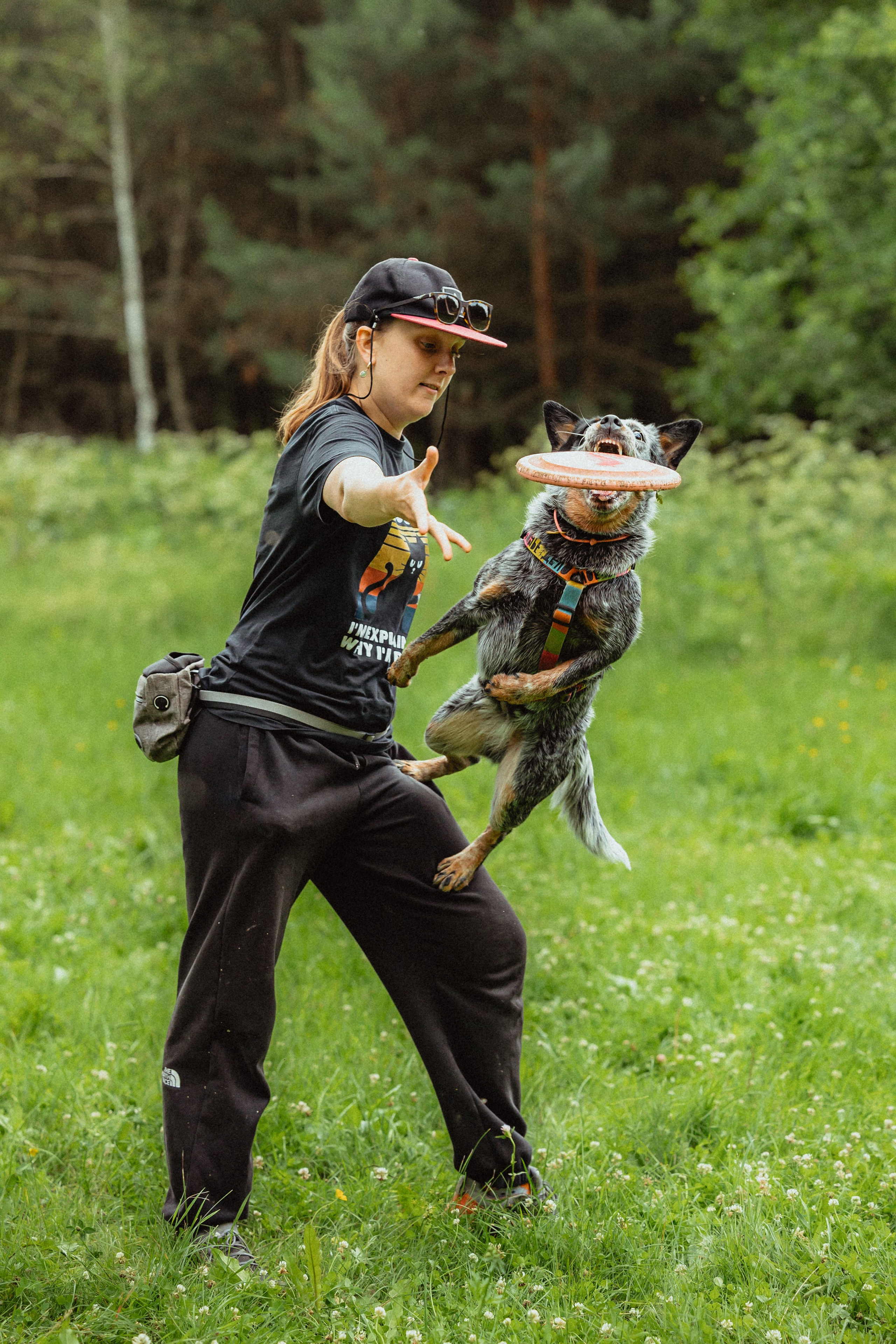 Выездной дог-тренинг от школы «Шерсть имею»