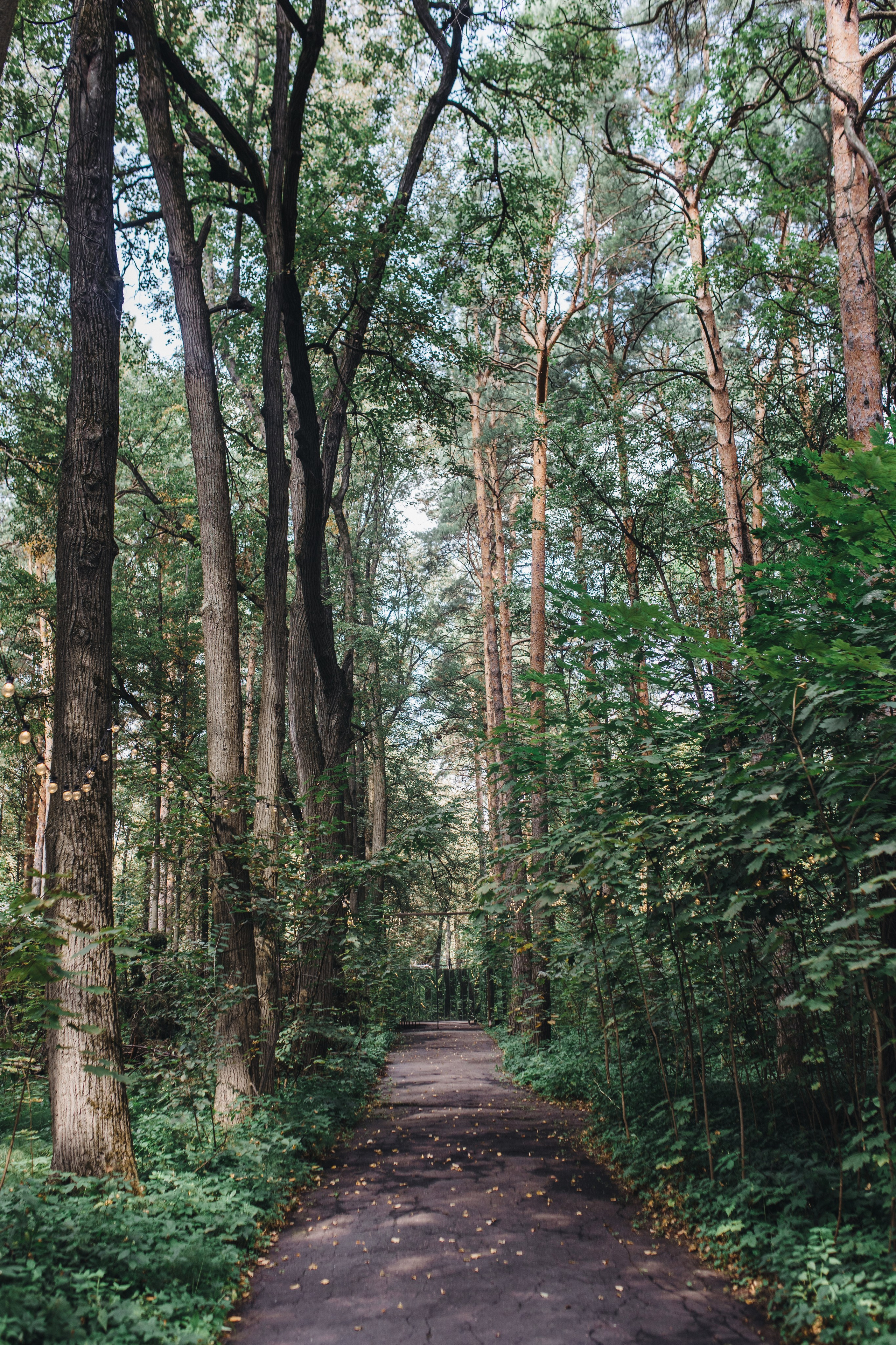 Артур и Жанна. Wedding and family photography Adamians