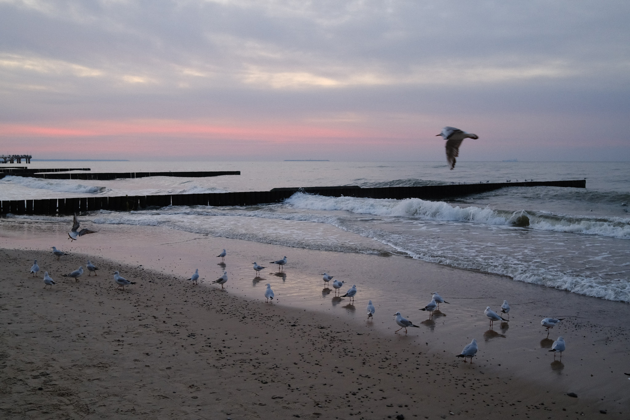 Зеленоградск. Калининградская область. Алексей Торопов фотограф