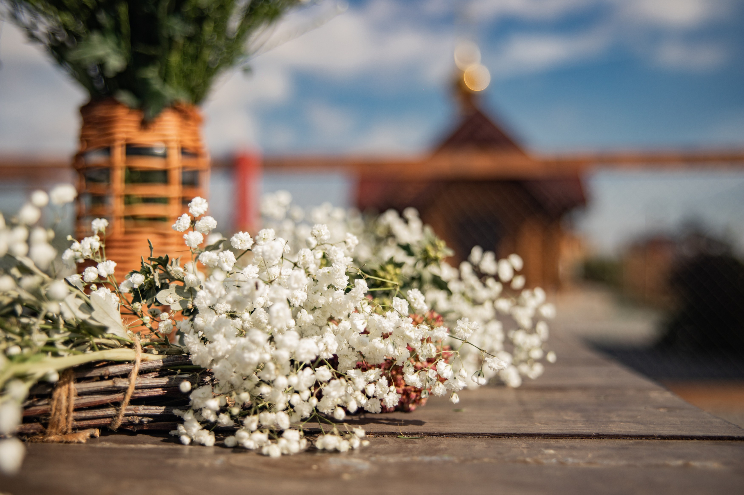 Алиса. Фотограф Таганрог и Ростов-на-Дону