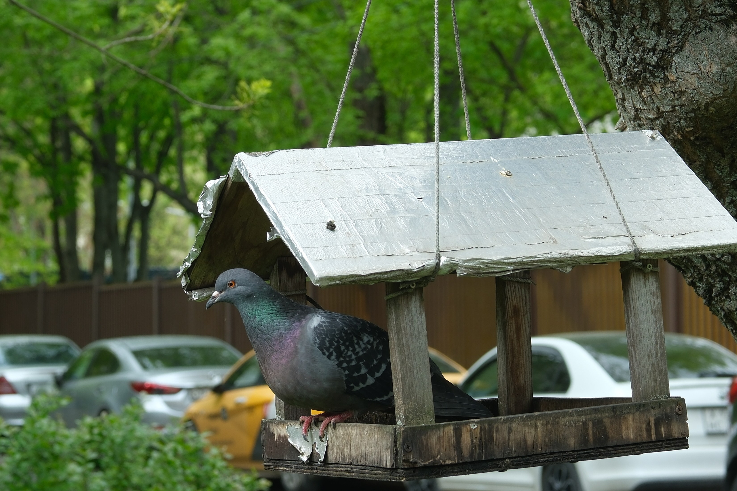 Улица, люди, жизнь…