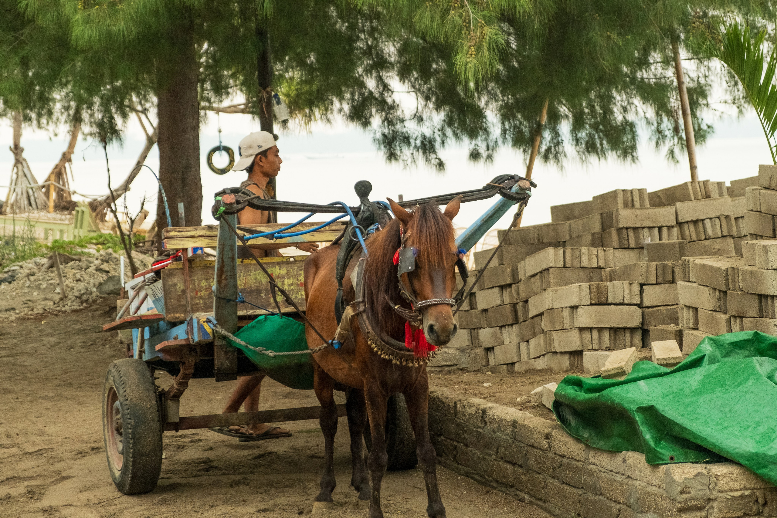 Остров Гили Эйр. Фотографии из путешествий