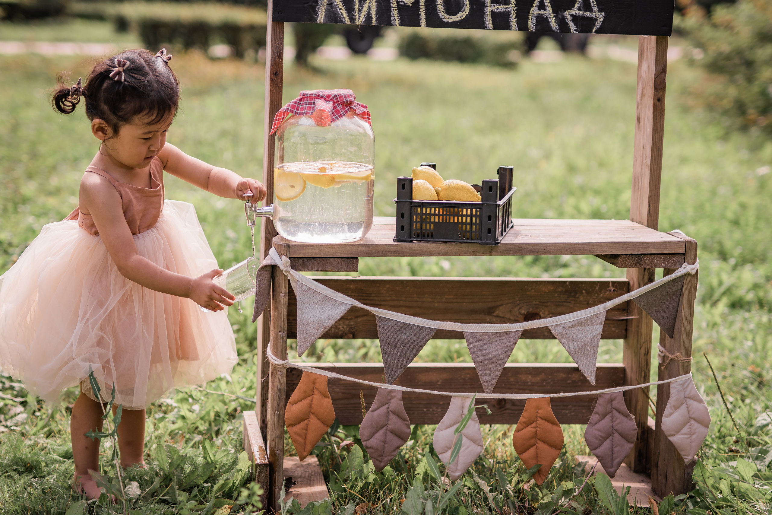 Пикник с лимонадом. Семейный фотограф Ефремова Виктория