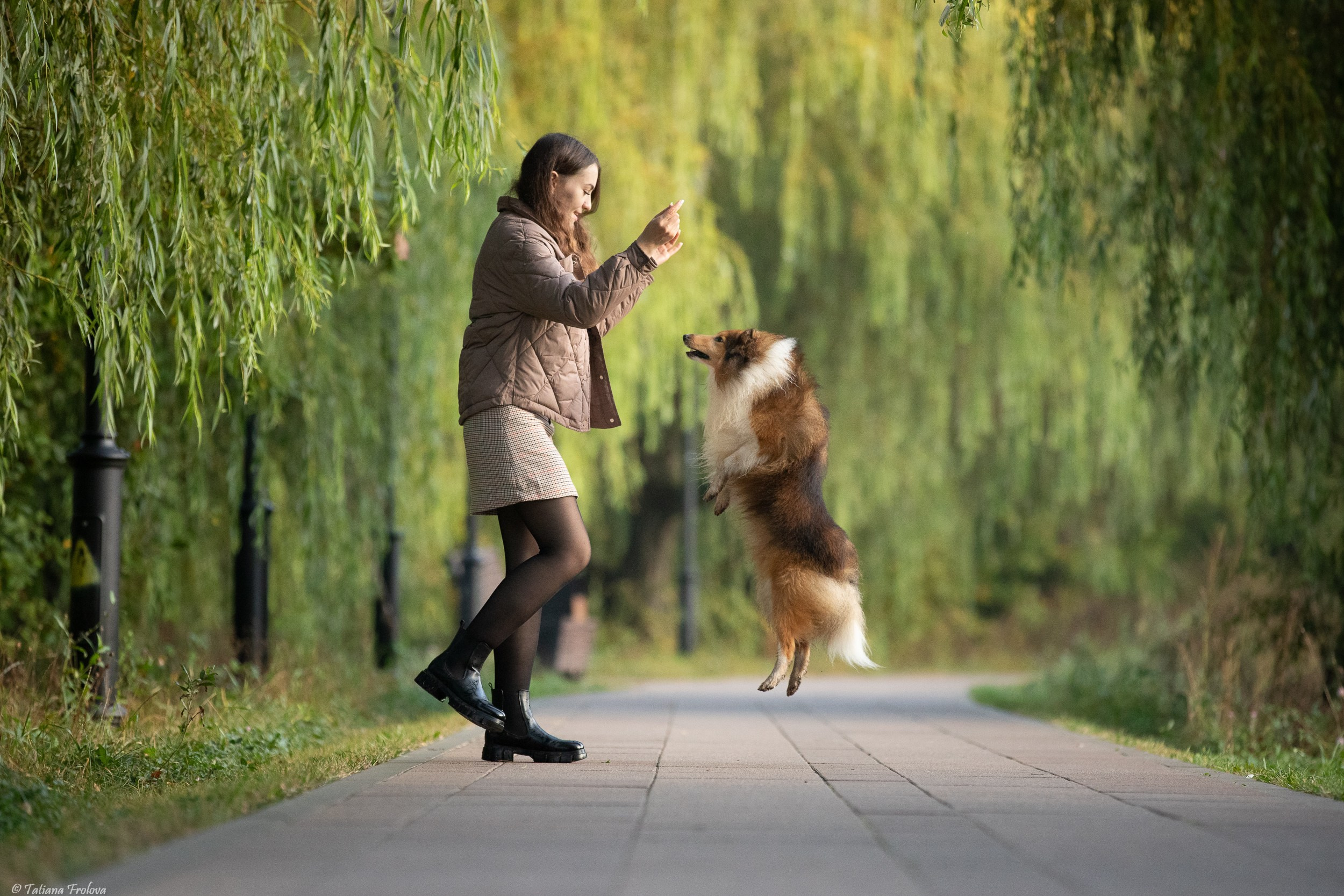 Утренняя фотопрогулка с двумя собаками по Москве. Фотограф-анималист в Москве и Московской области Татьяна Фролова