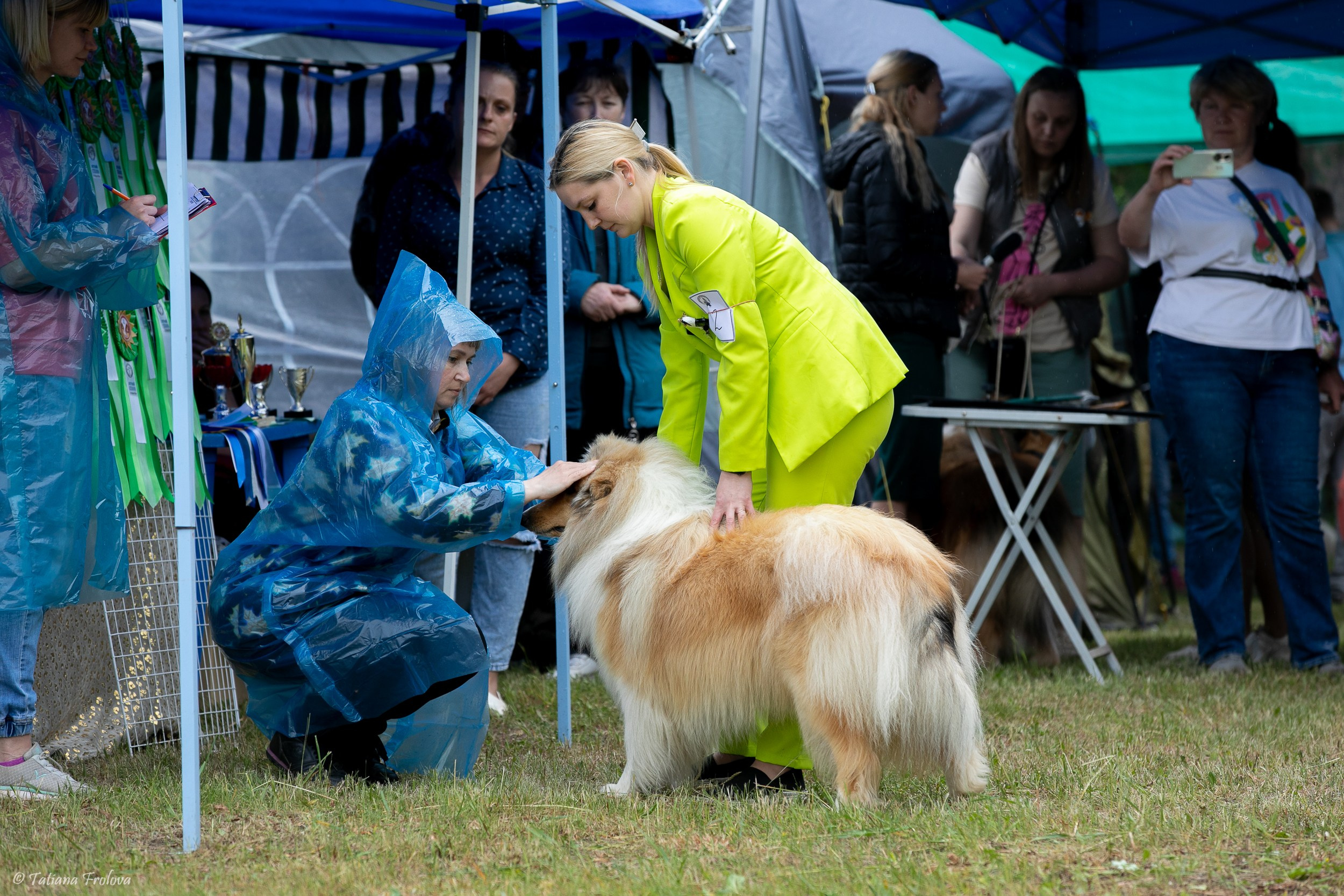 Фотосопровождение выставки собак в Московской области и Москве. Фотограф-анималист в Москве и Московской области Татьяна Фролова