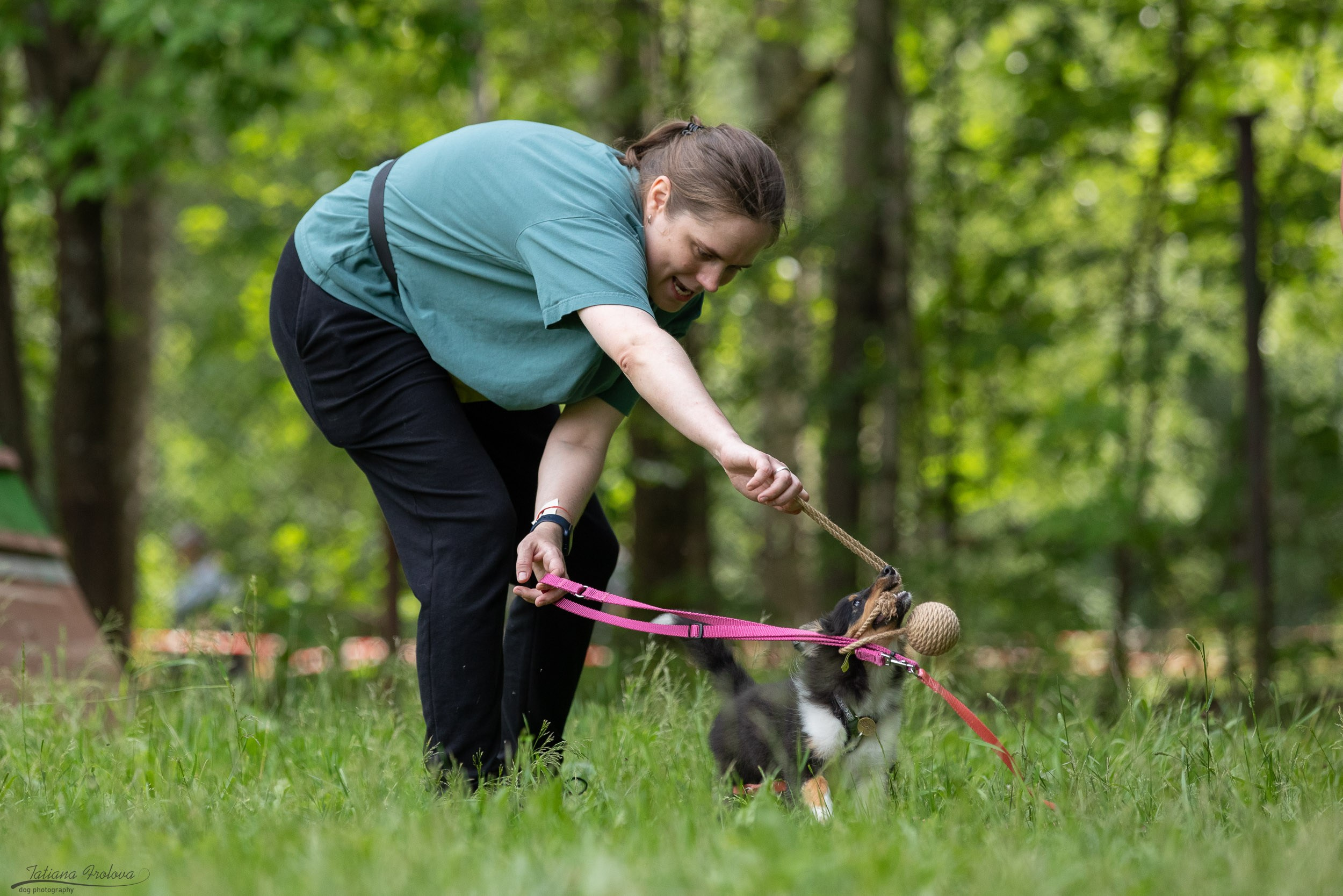Репортаж с выводки молодняка колли/шелти в Ясенево. Фотограф-анималист в Москве и Московской области Татьяна Фролова