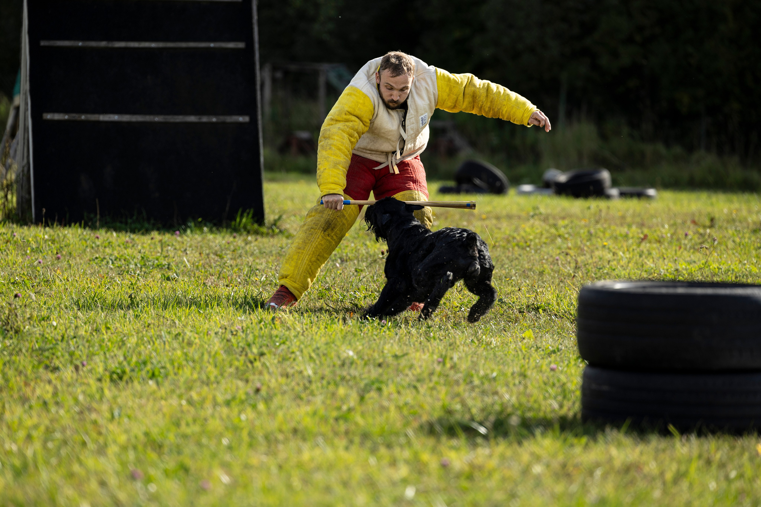 Испытания по Мондьорингу г. Пушкин. Фотограф-анималист Анна Маринич