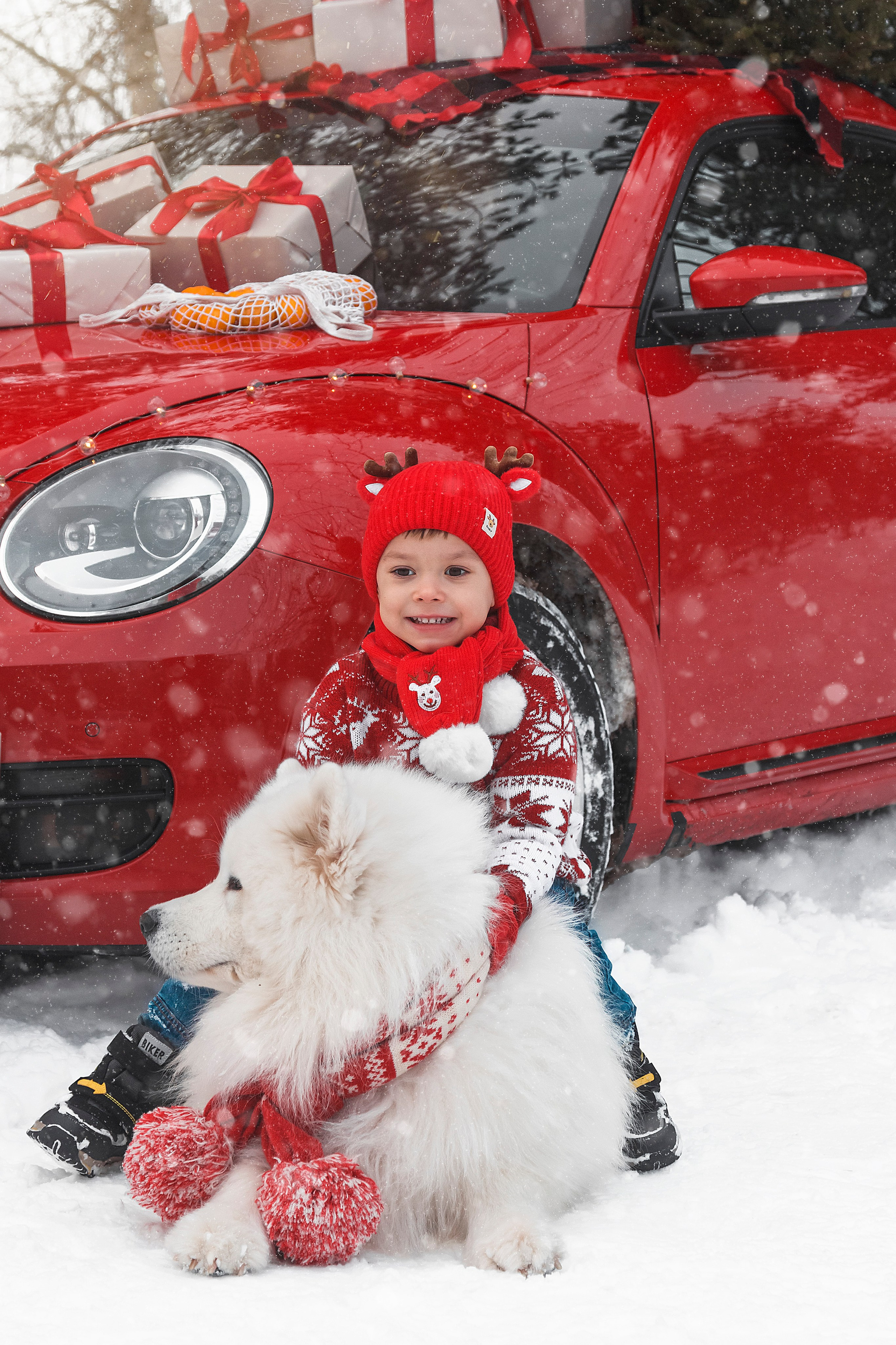 Новогодний красный жук. Фотограф Ольга Бобб Нижний Новгород
